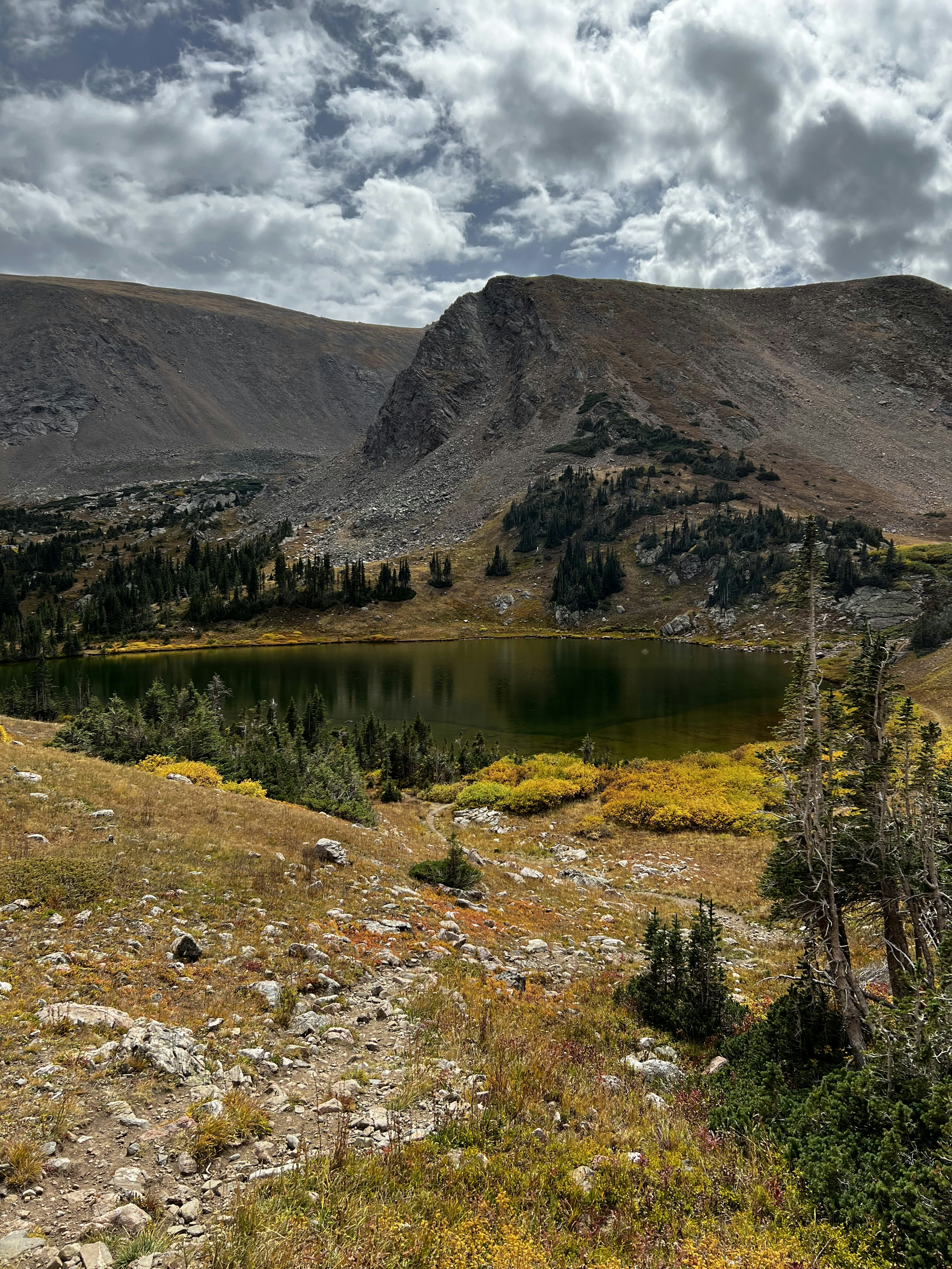 Photo by laitonbarbo