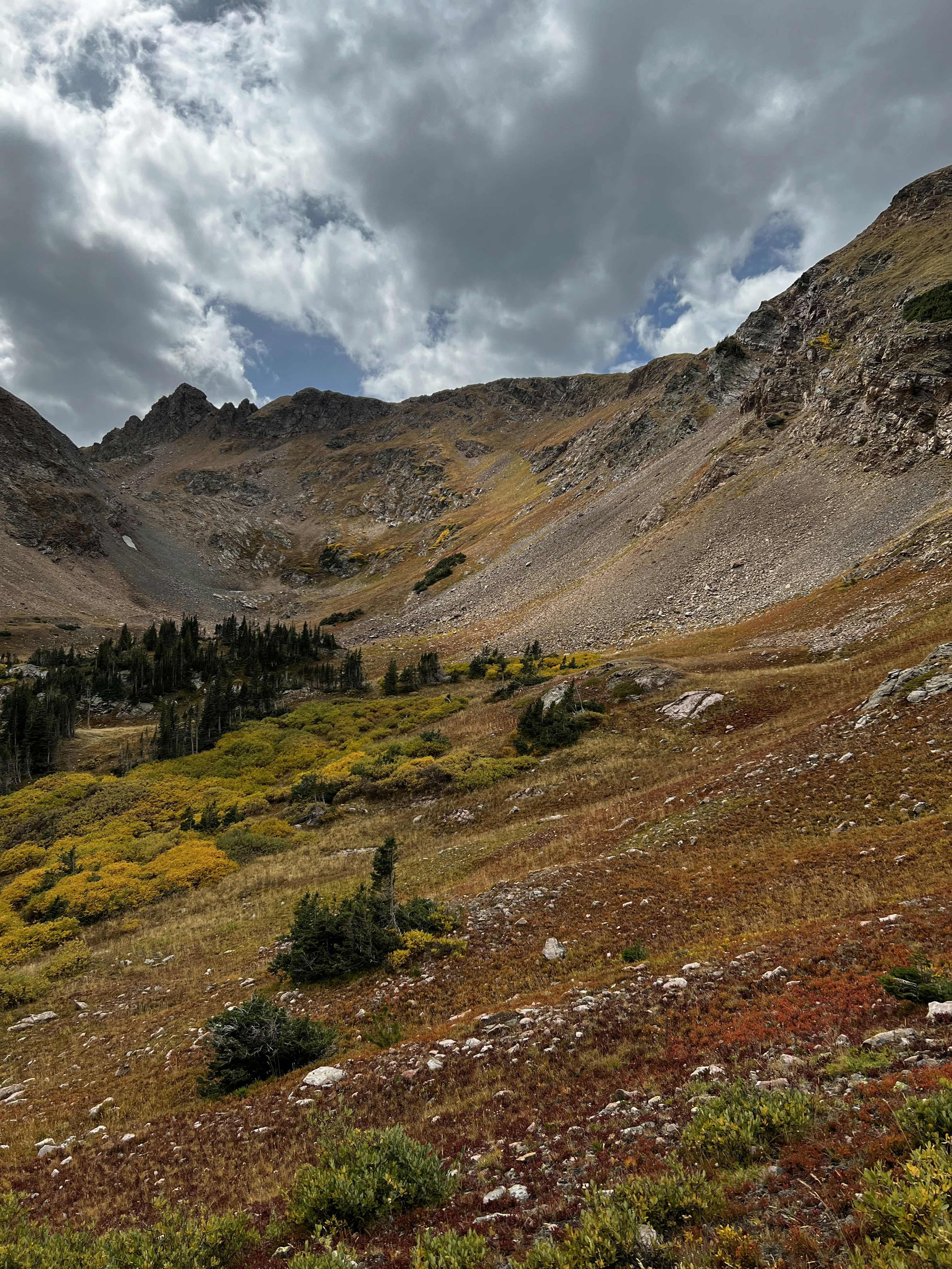 Photo by laitonbarbo