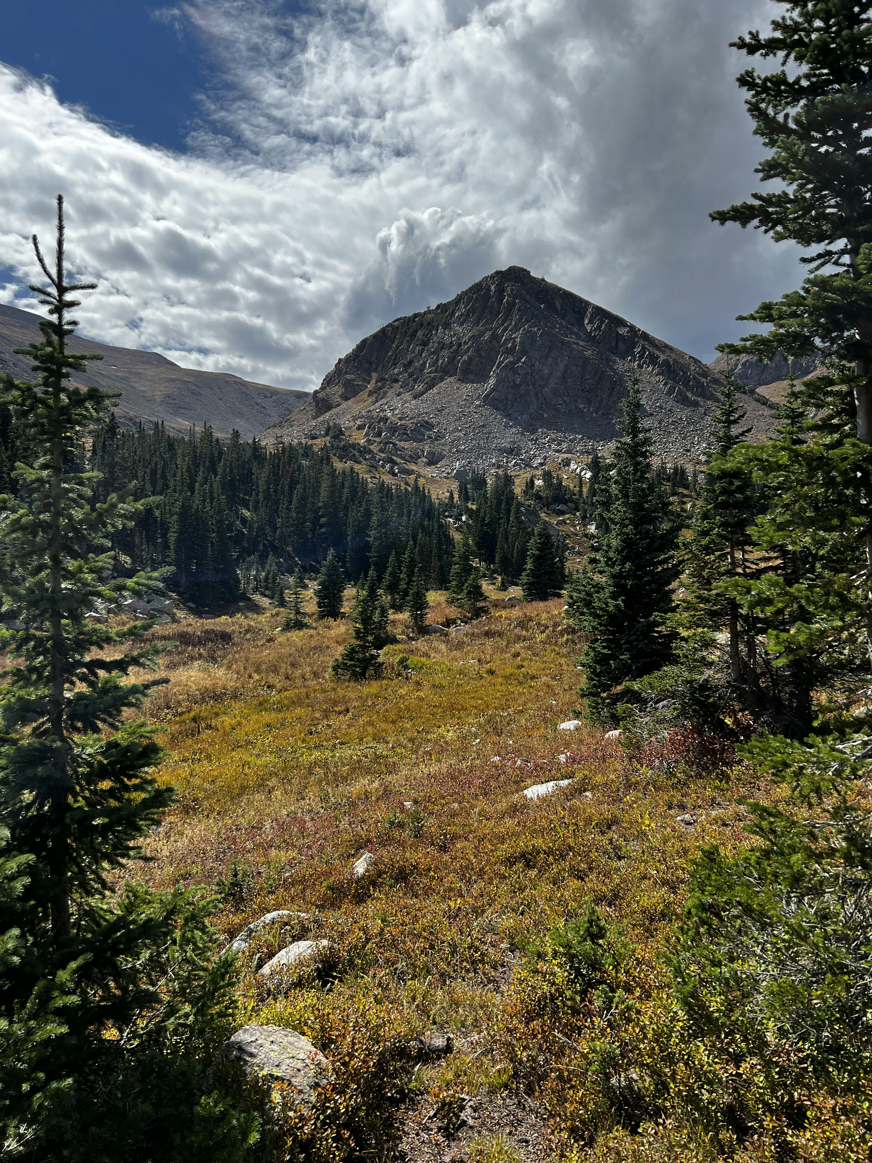 Photo by laitonbarbo