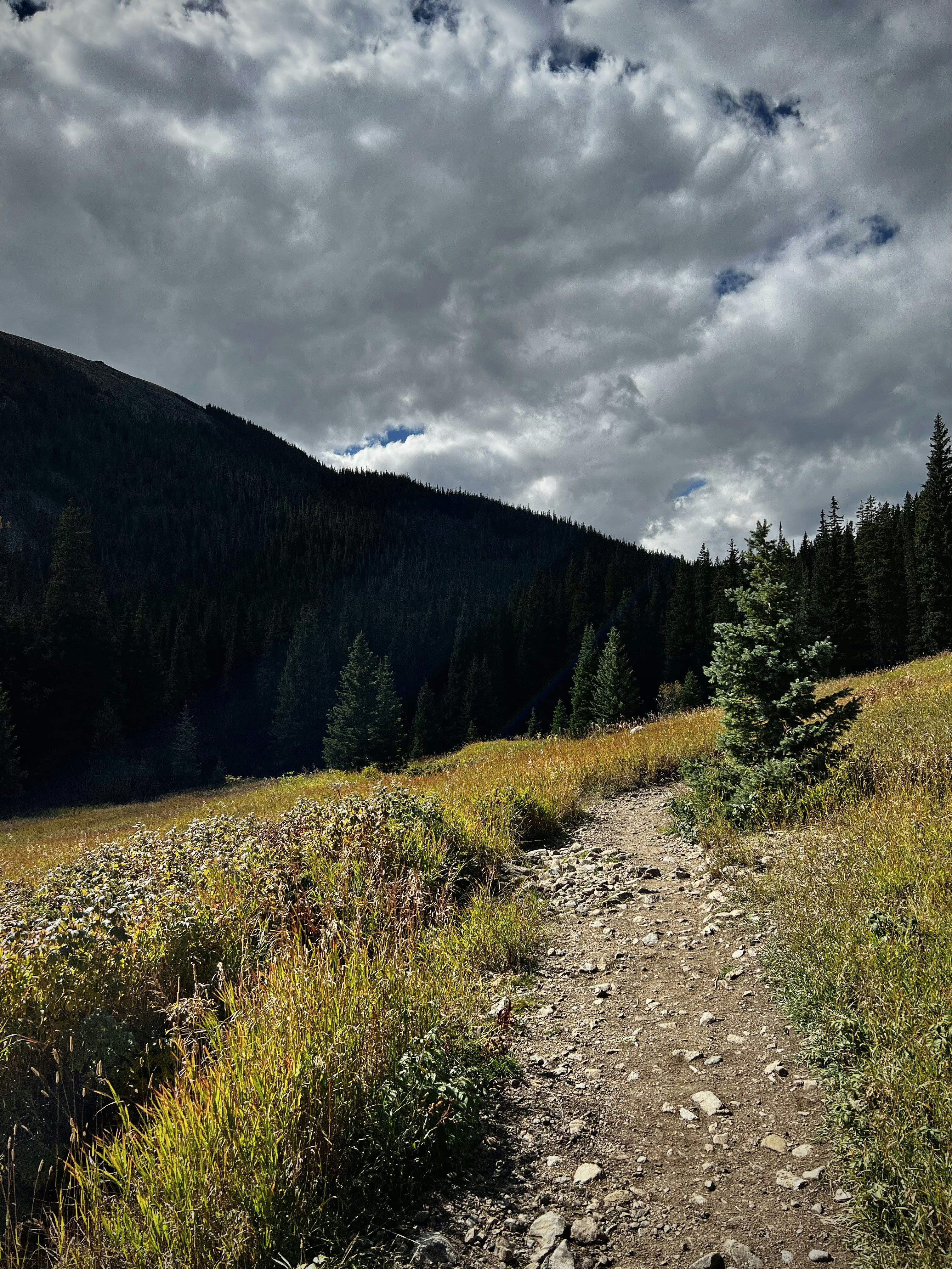 Photo by laitonbarbo