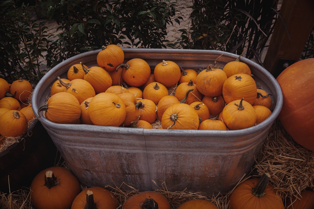 a group of pumpkins in a basket