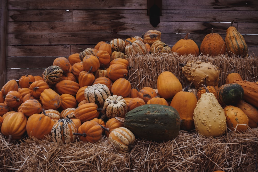 a pile of pumpkins