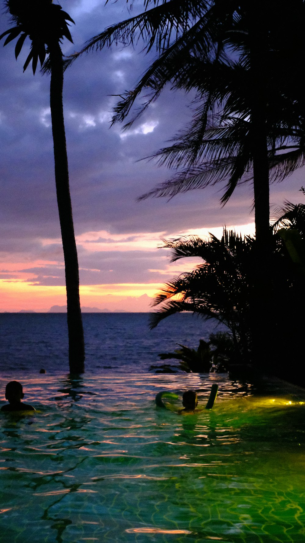 um grupo de pessoas em uma piscina por palmeiras e um pôr do sol