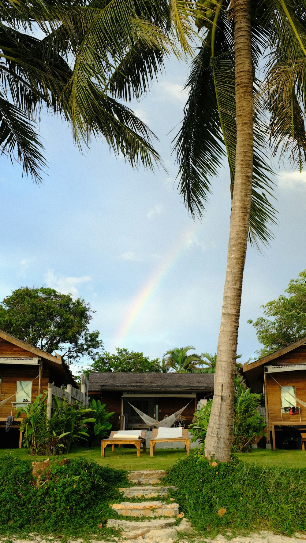 a house with a palm tree and a table and chairs in the front