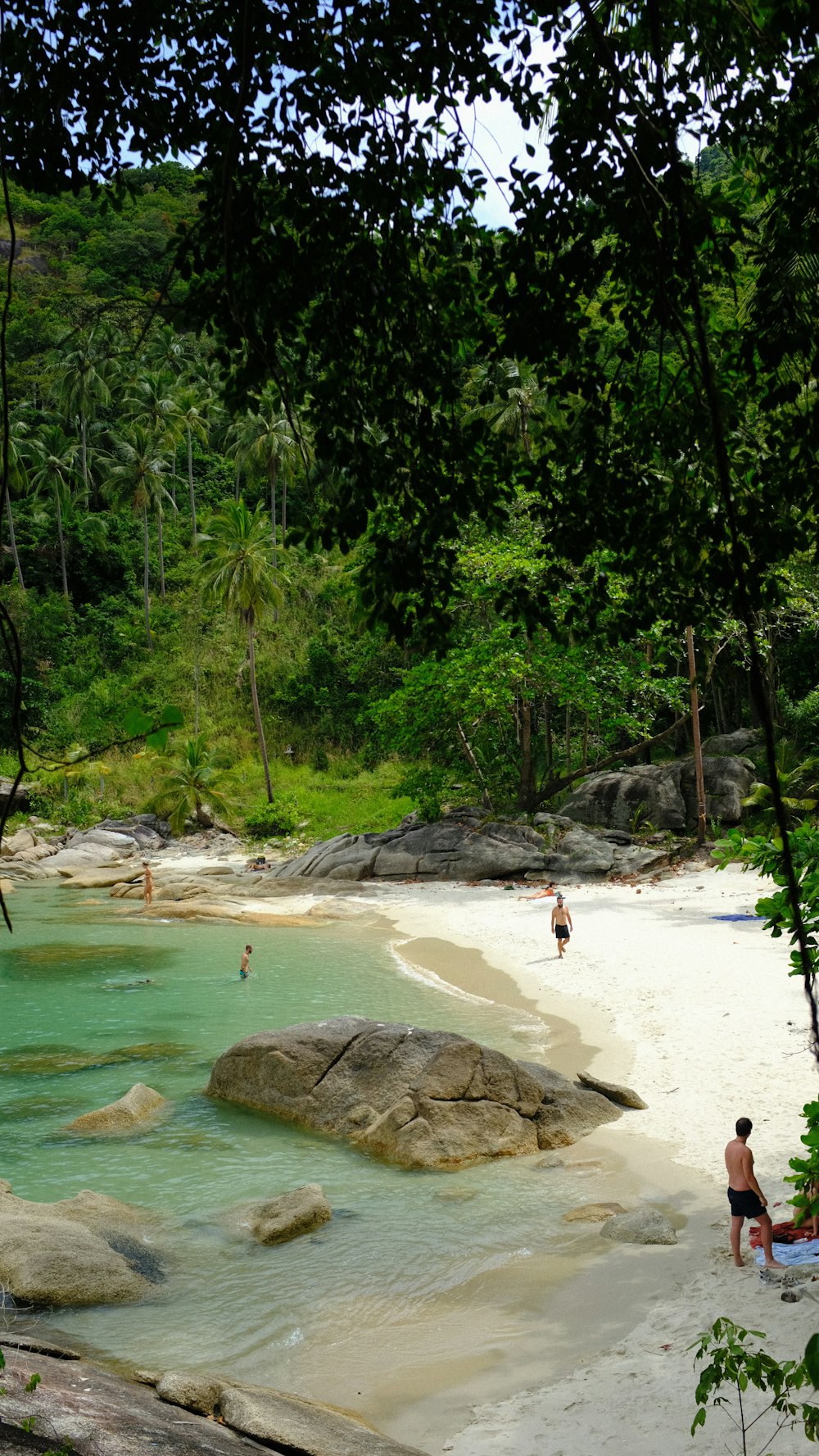 people on a beach