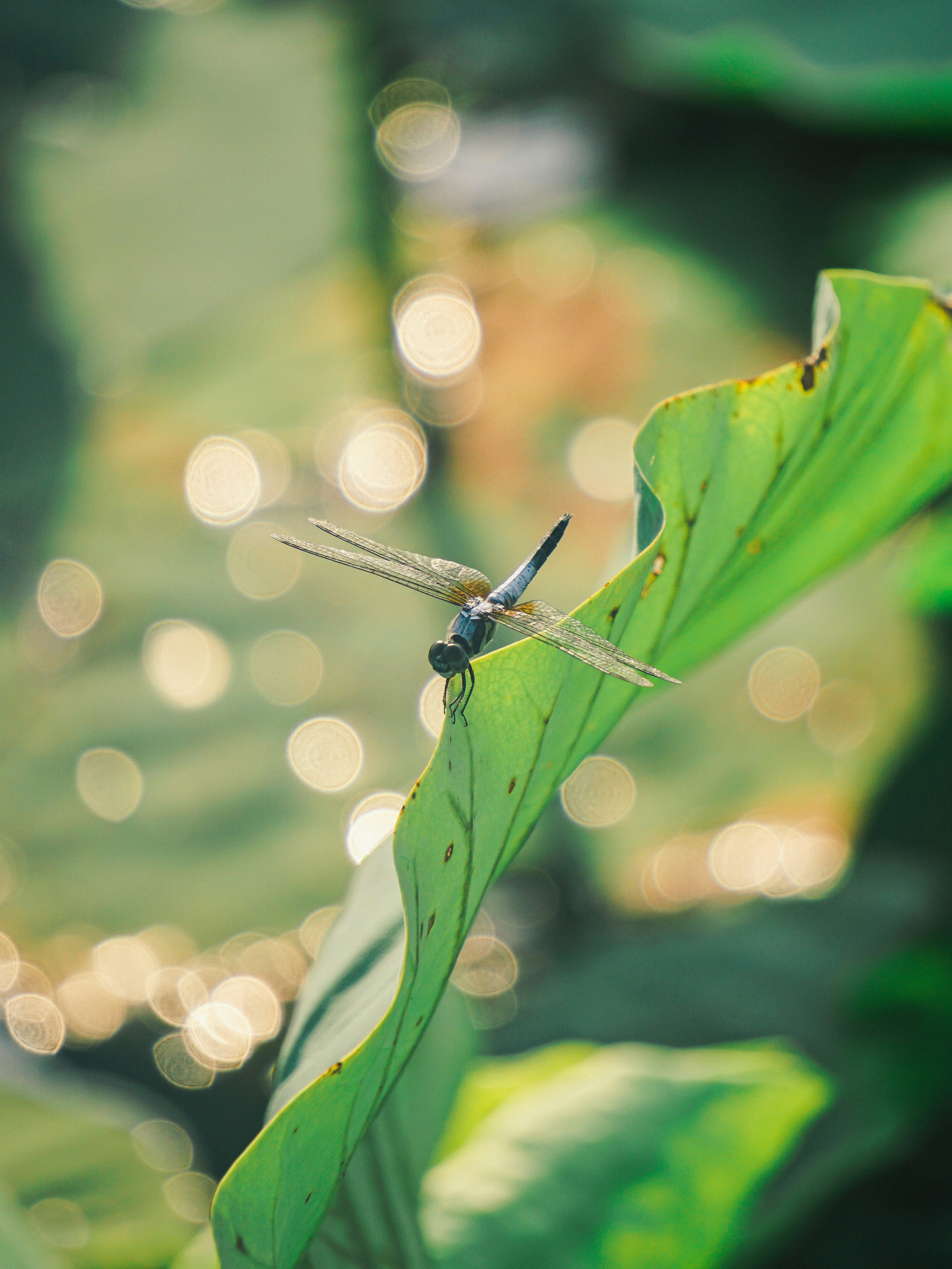 Photo by infinity947