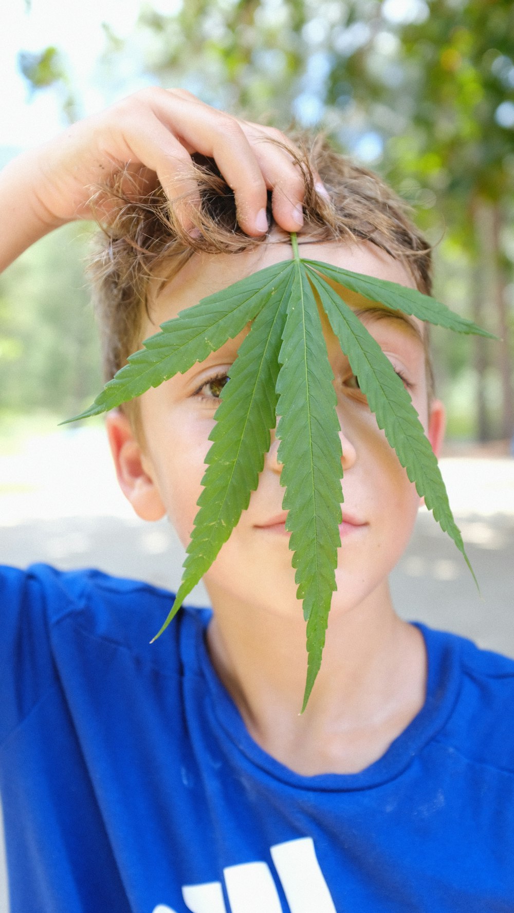 a person holding a plant