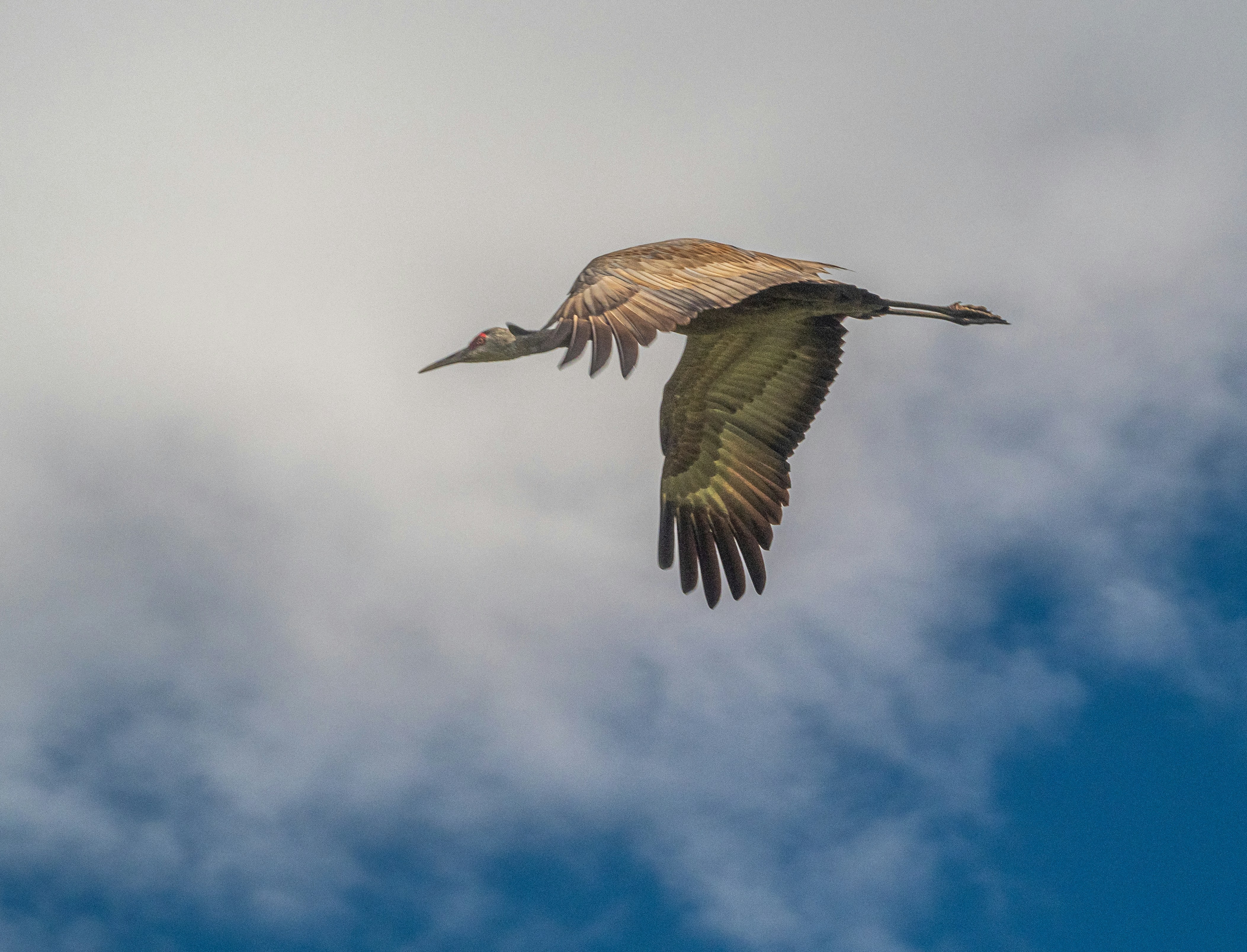 Photo by lderksen