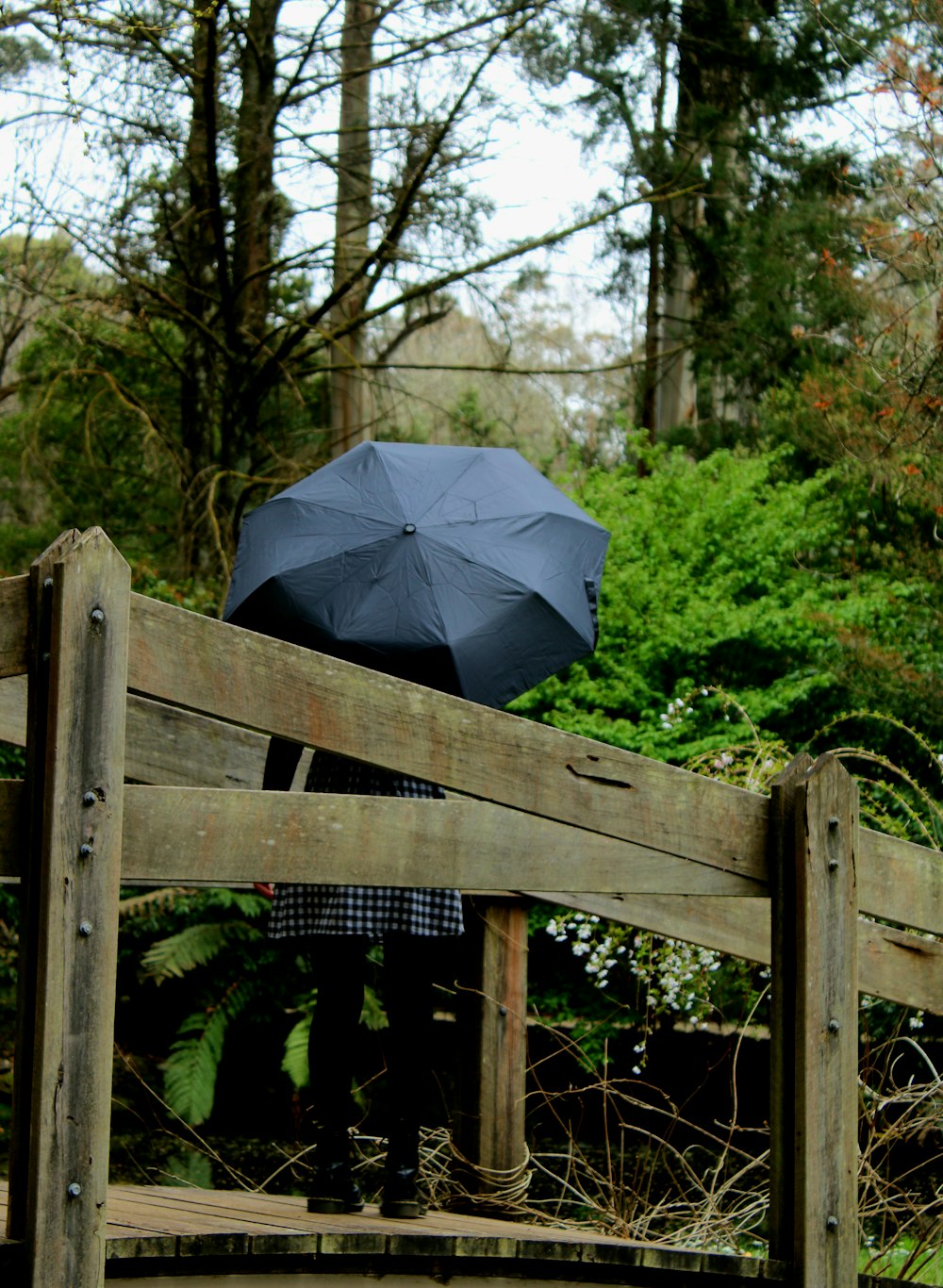 a person holding an umbrella