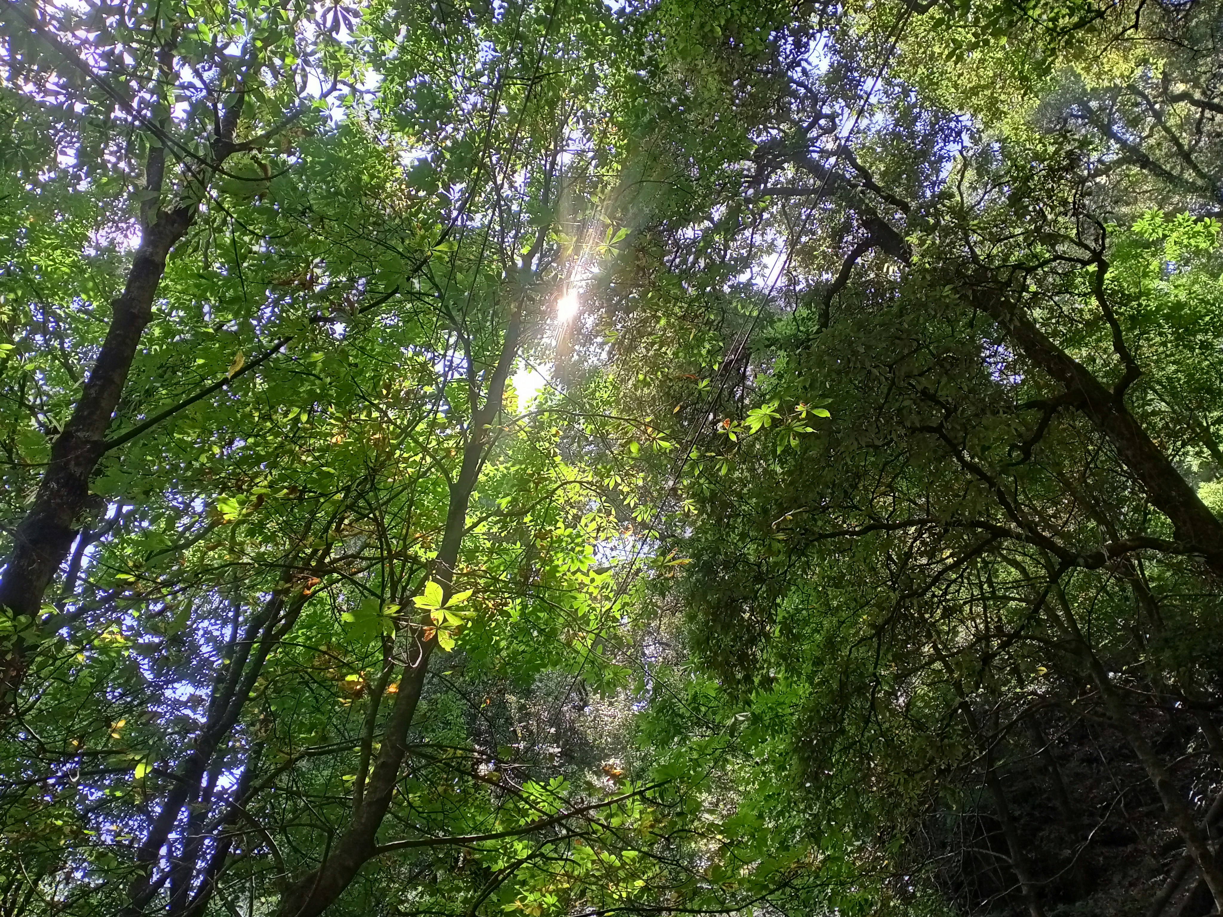 Photo by pr_abhishek