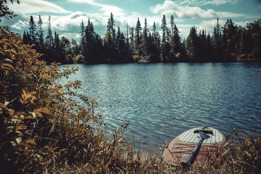 a boat on a lake, Paddle board rests on shore. Over grown weeds and grass block some of the water. Its a quiet day.