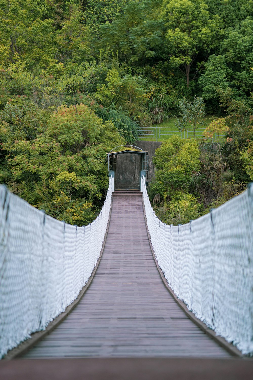 a large concrete structure with trees around it