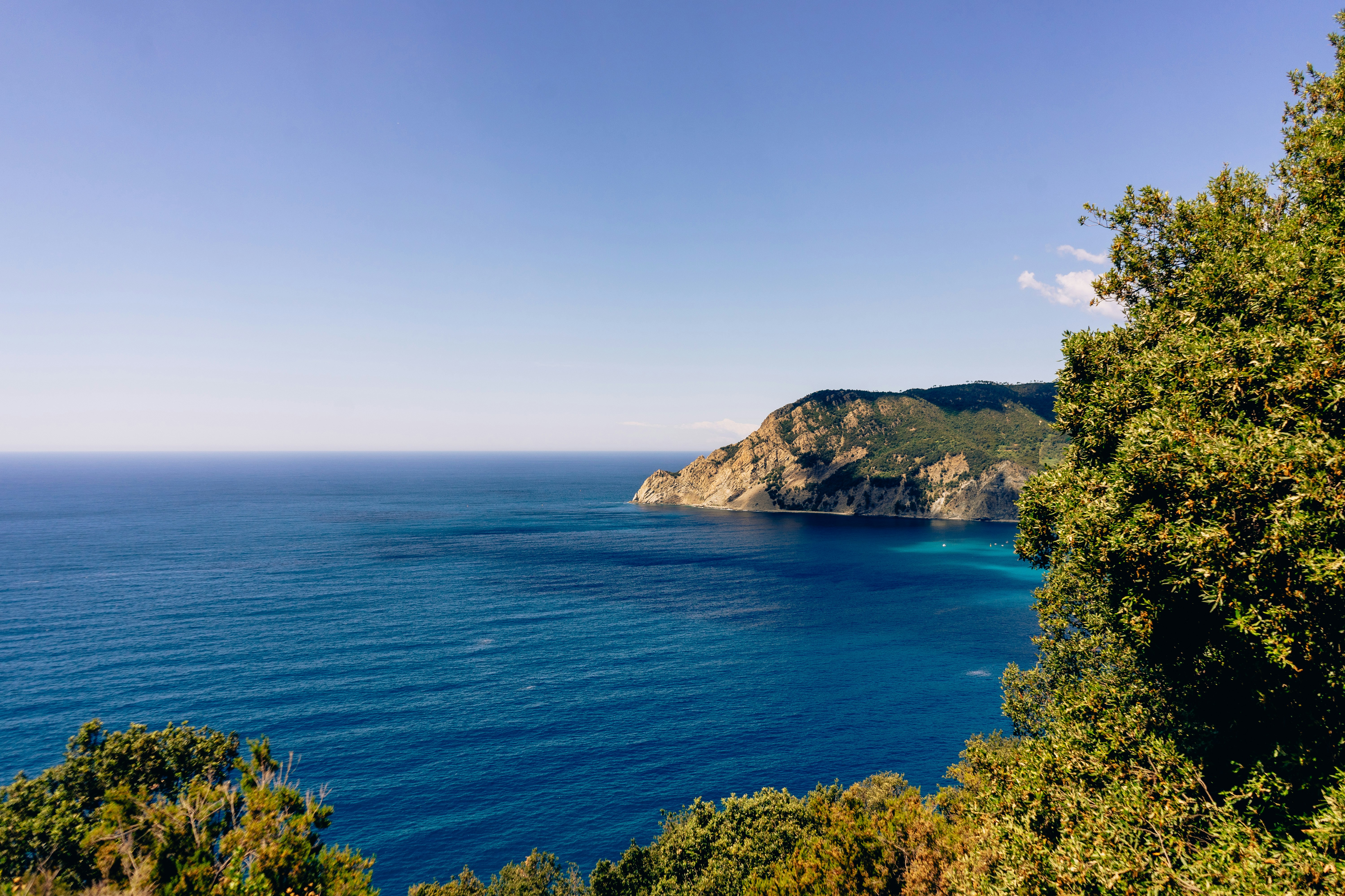 Photo by virussinside