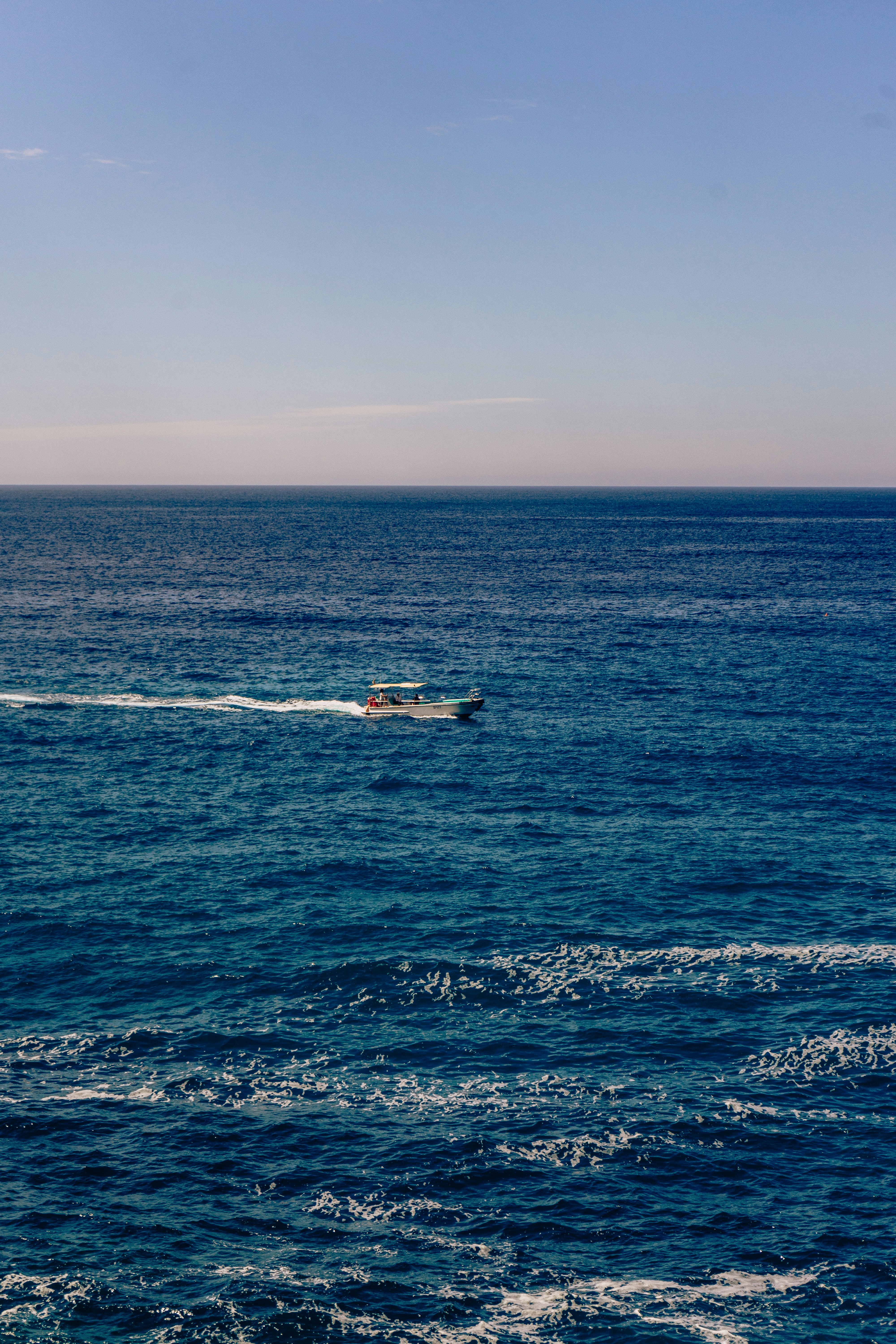 Photo by virussinside