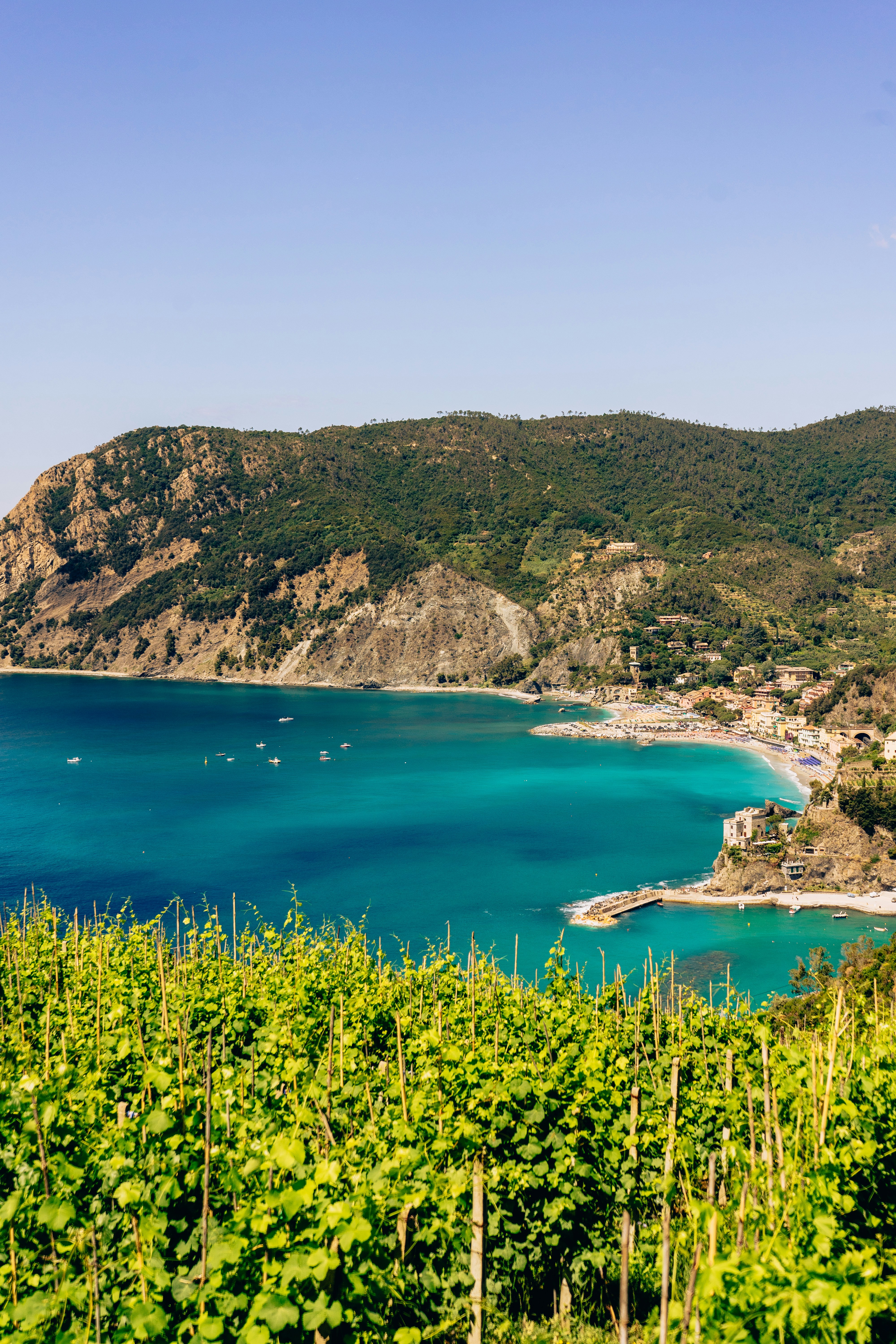 Photo by virussinside