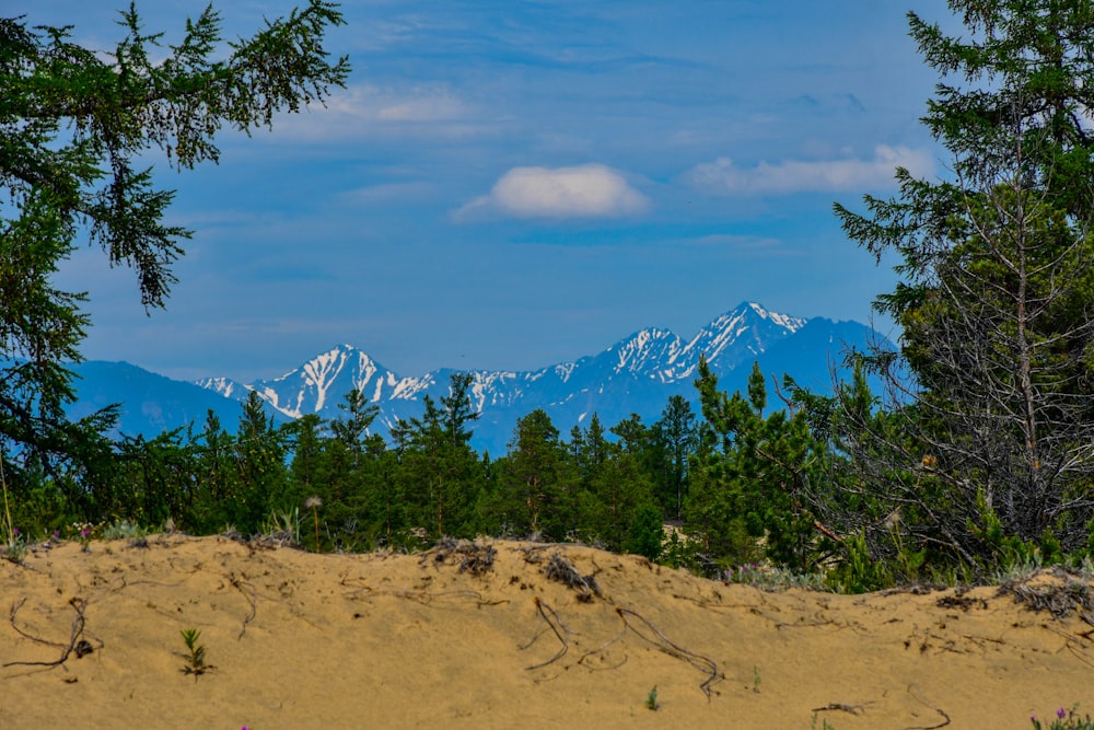 a dirt hill with trees and mountains in the background