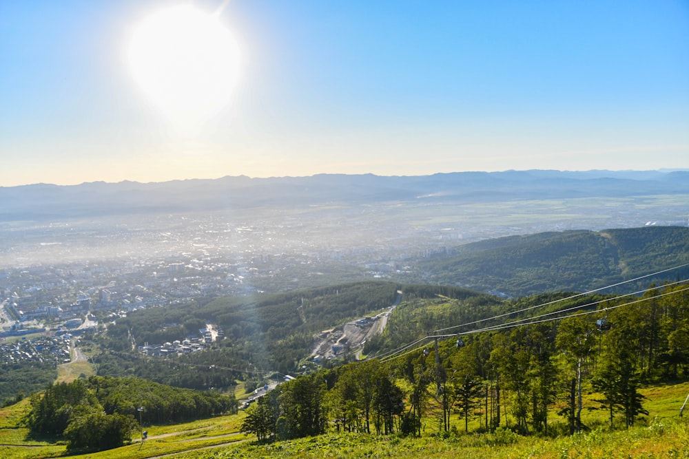 Eine Landschaft mit Bäumen und einem Gewässer im Hintergrund