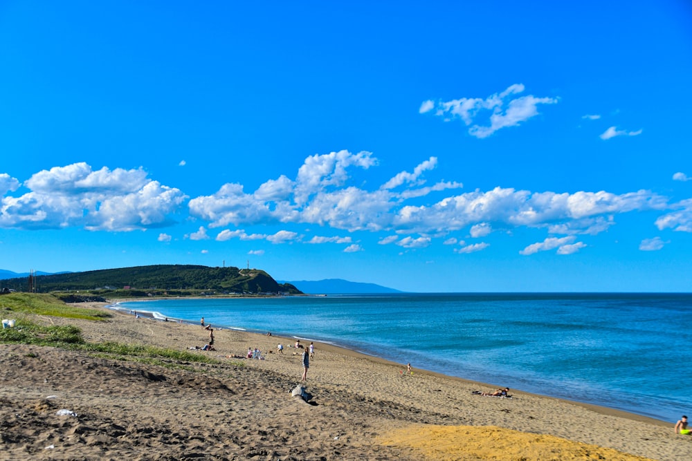 a beach with people on it