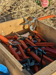 a box full of bullets
