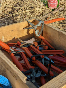 a box full of bullets
