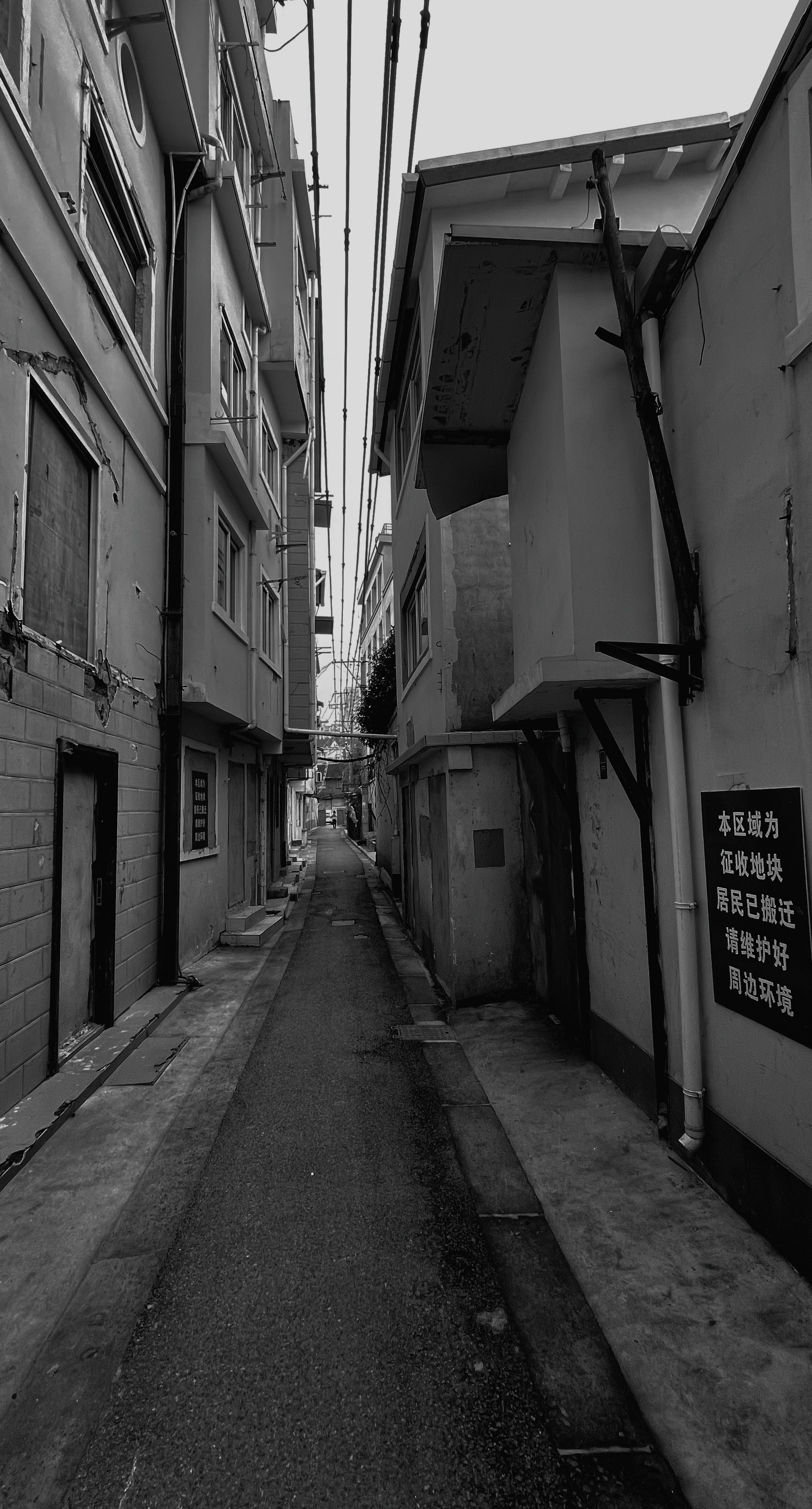 Photo by geraltyichen