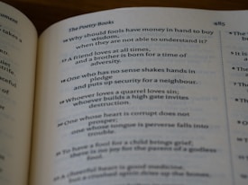 A close-up view of an open book displaying text from a section titled 'The Poetry Books.' Verses are numbered sequentially from 16 to 20 on the page, discussing themes of wisdom, friendship, and morality. The page number is visible in the top right corner, indicating 485.