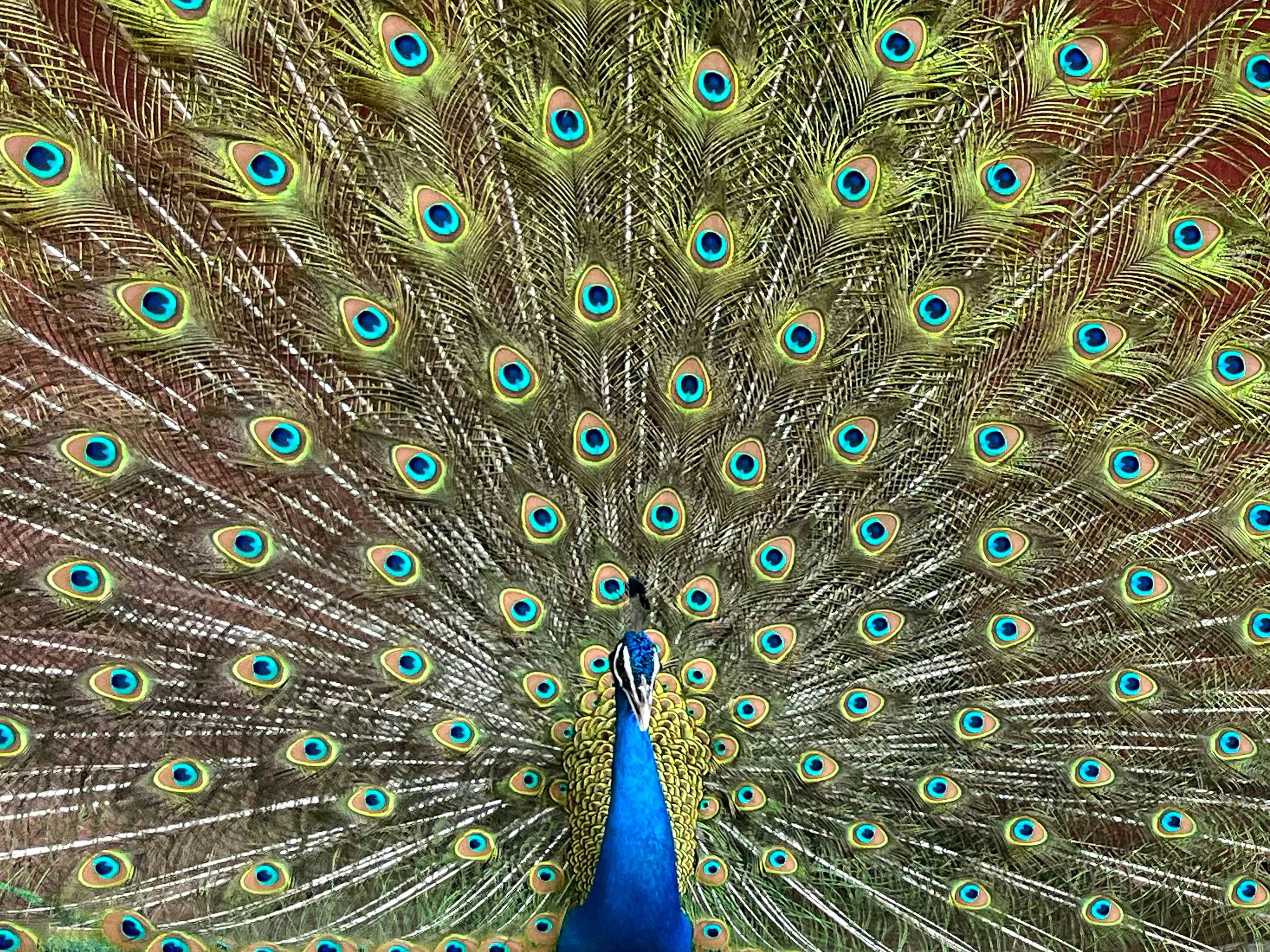 Photo by asvisual_narrator