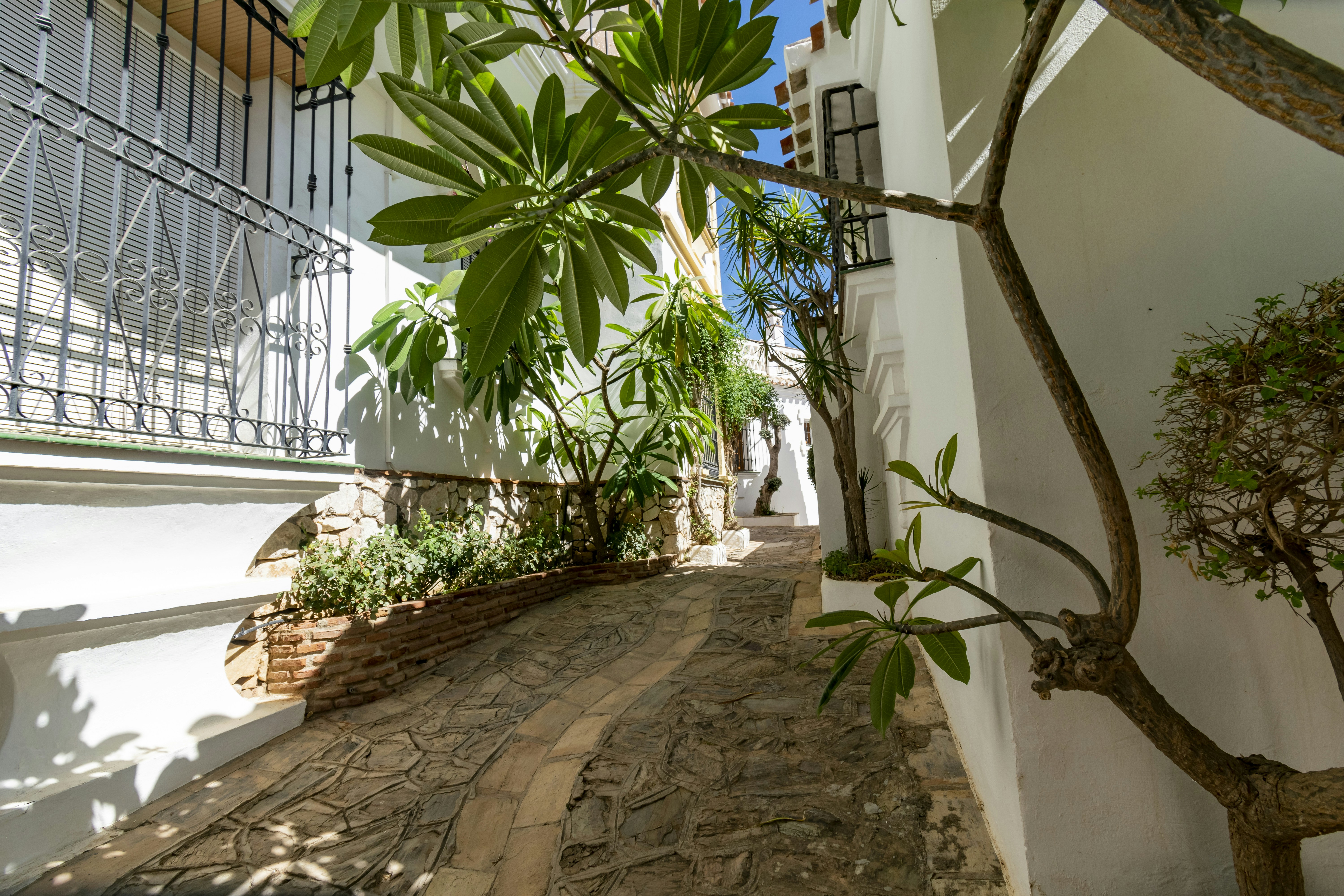 Photo by rafagarrido