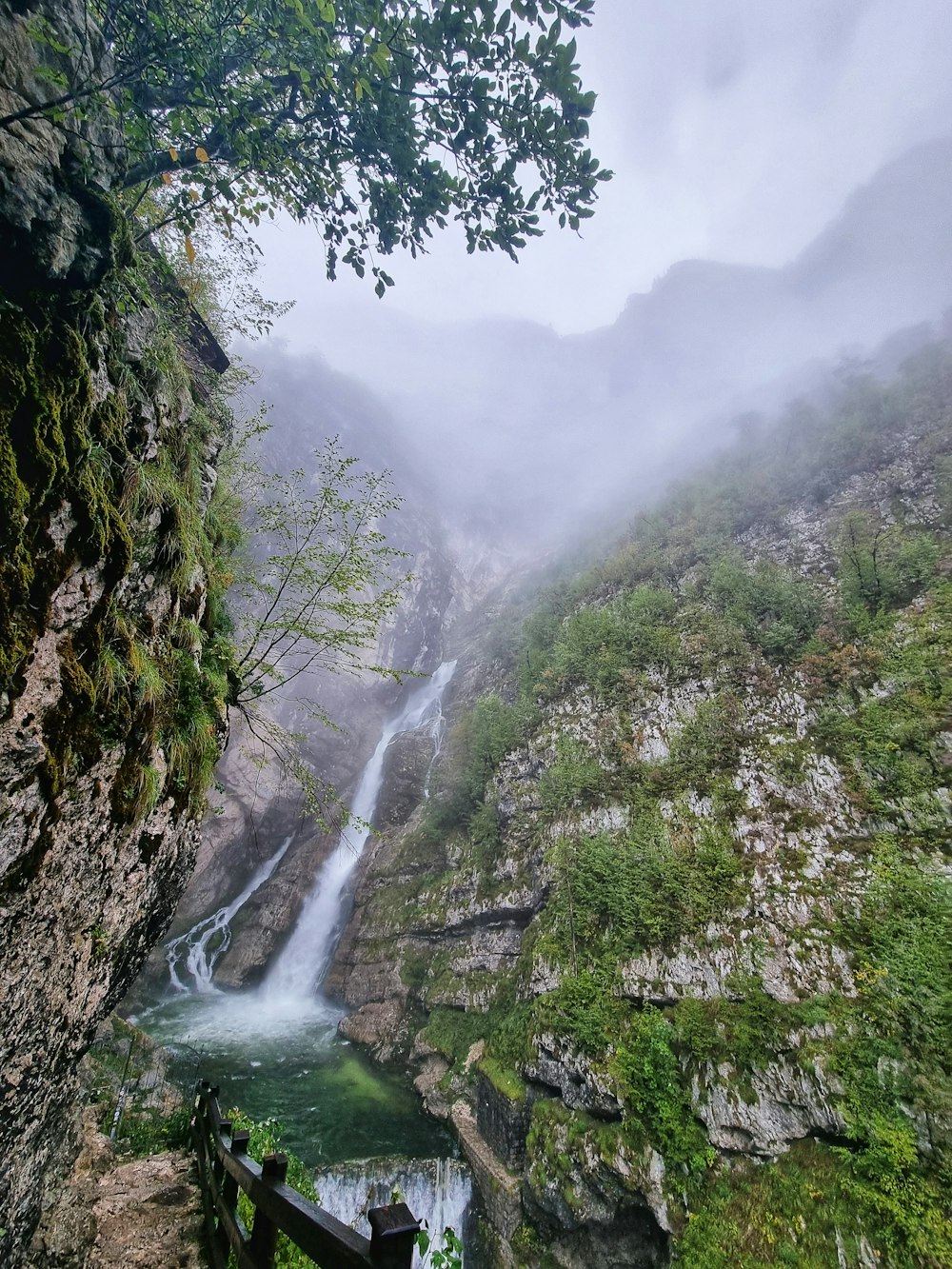 a waterfall in a forest