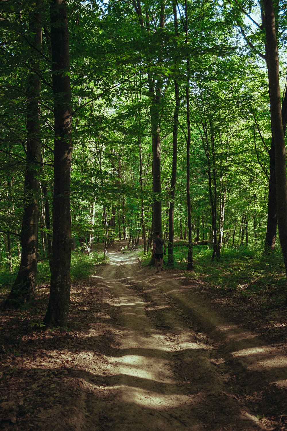 a person walking on a dirt path in a forest