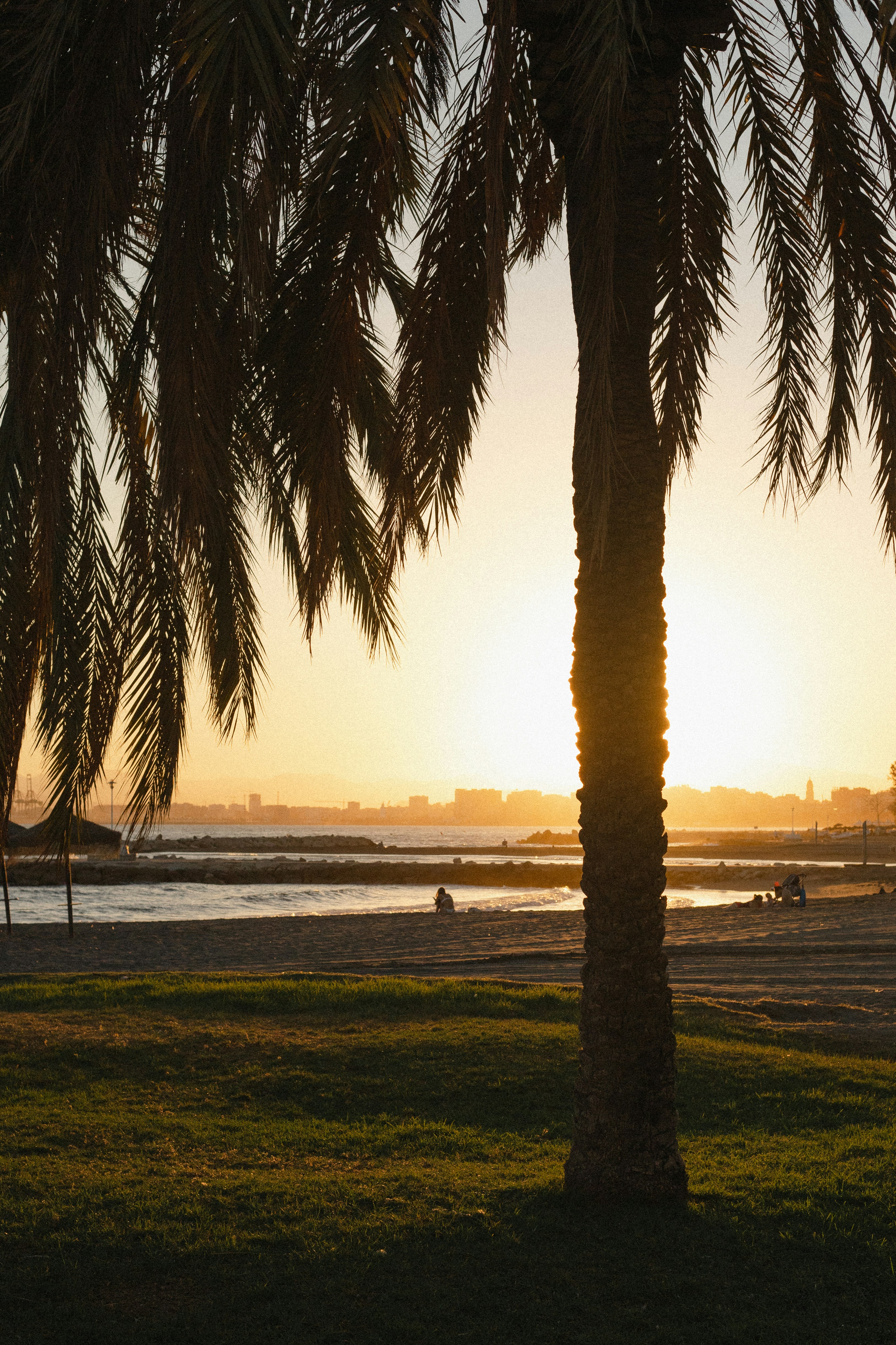 Photo by juliamatuzova