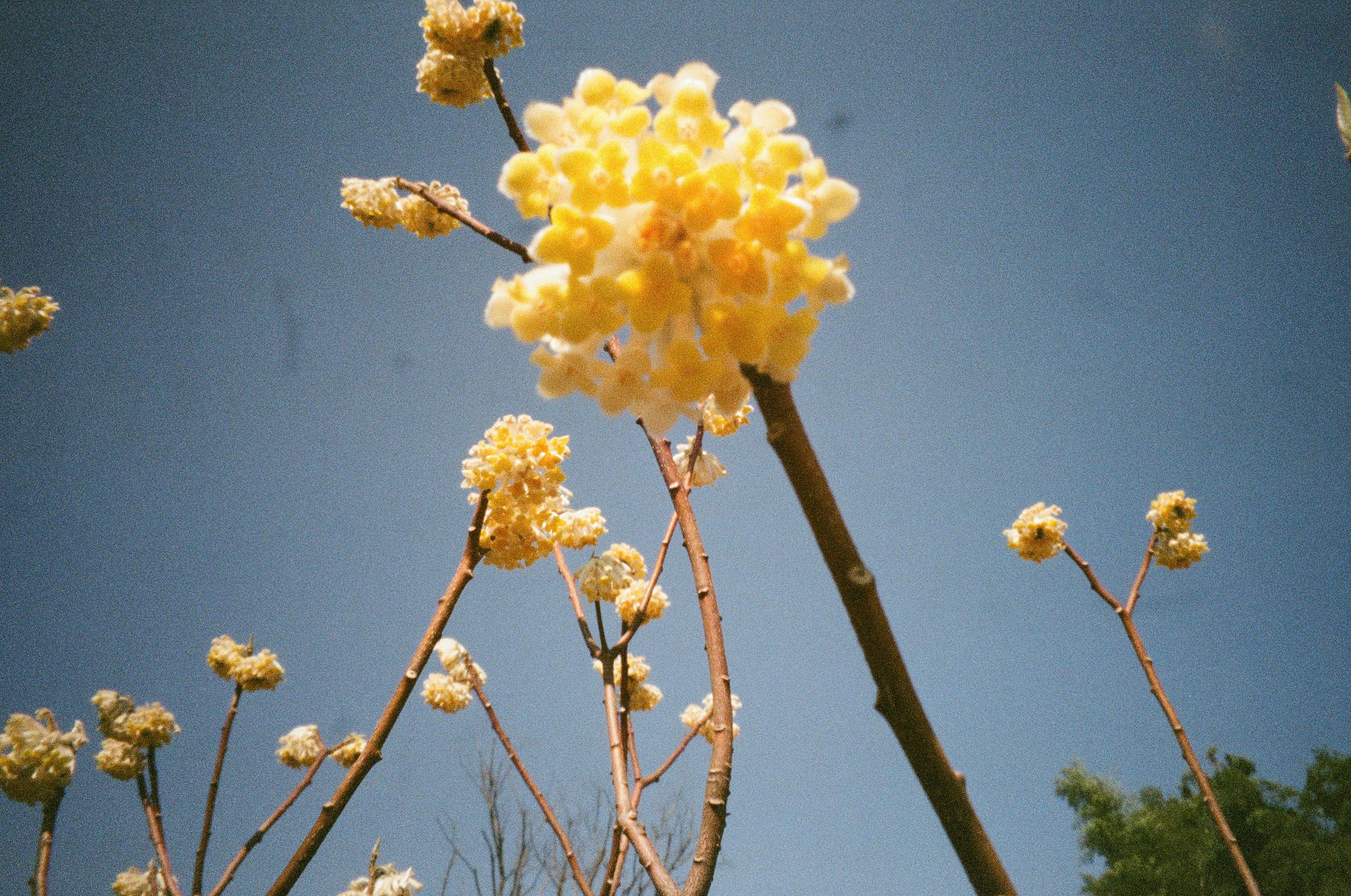 Photo by 5haiping