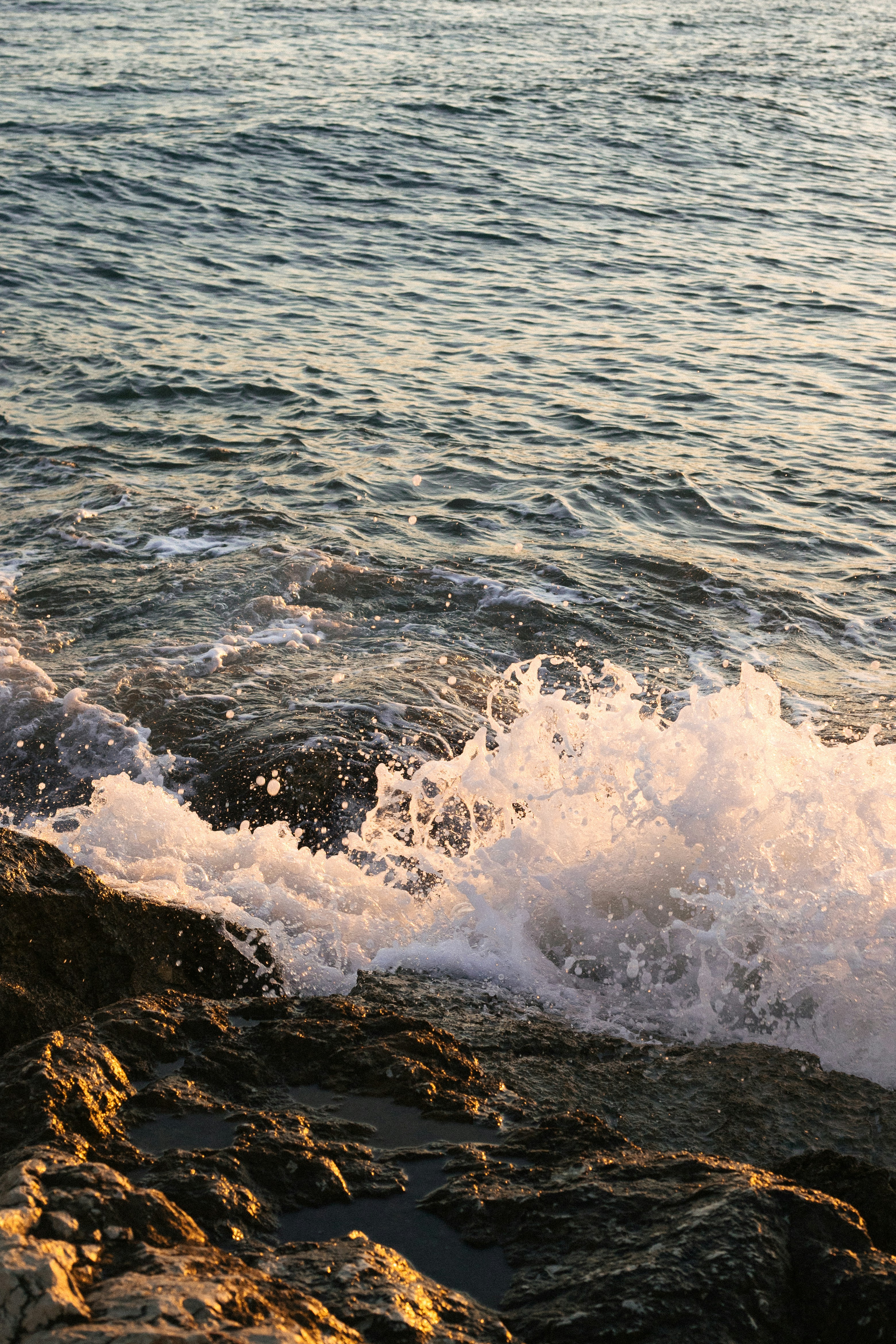 Photo by juliamatuzova