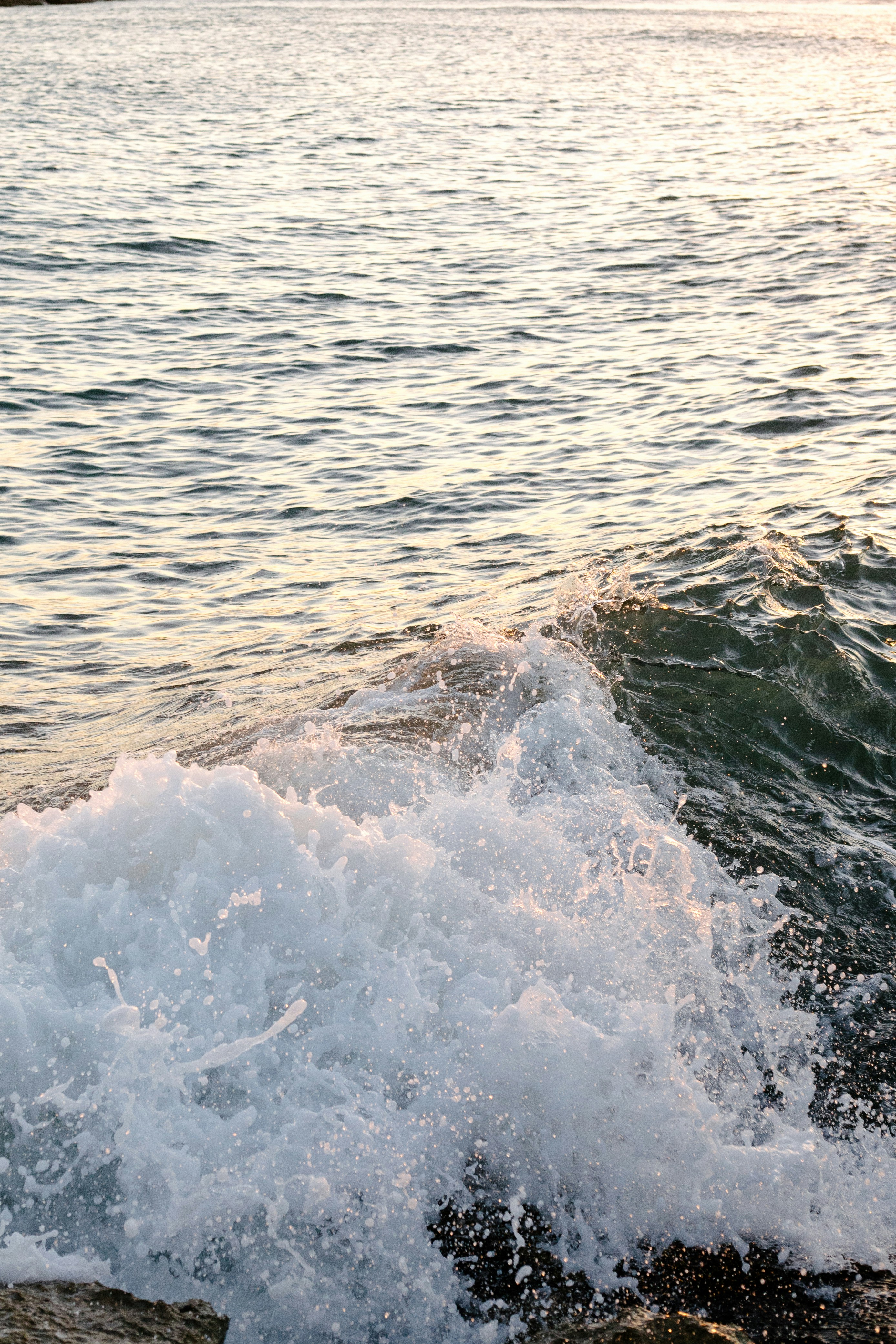 Photo by juliamatuzova