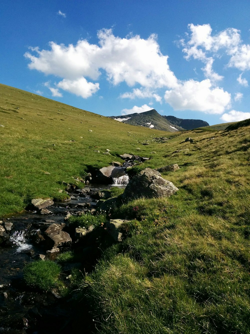 a stream running through a grassy area