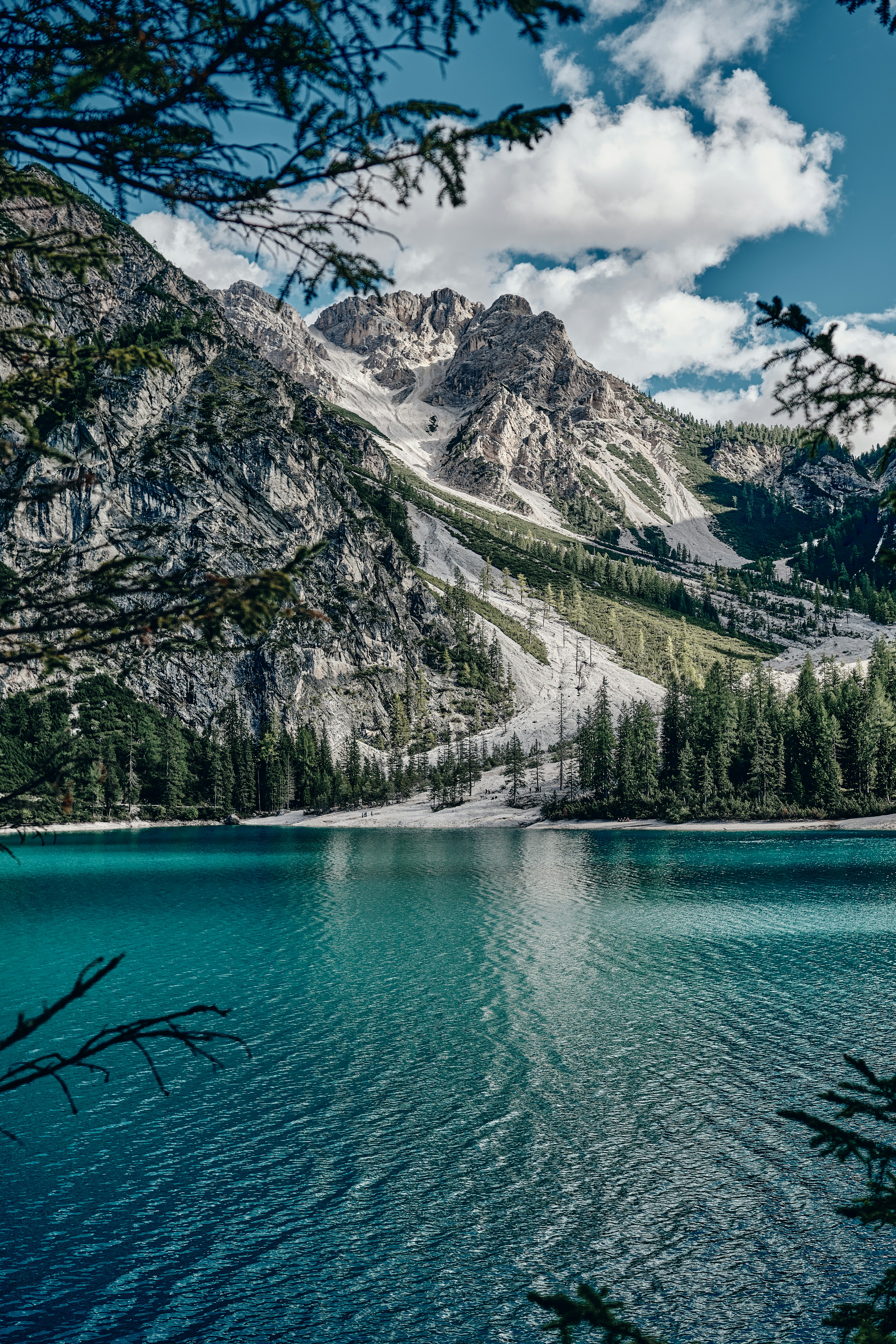 My Home LED Quadro Lago E Alberi - Immagine Decorativa A LED 40x60 Cm Con Interruttore On/Off, Per Sala O Camera - Foto 13