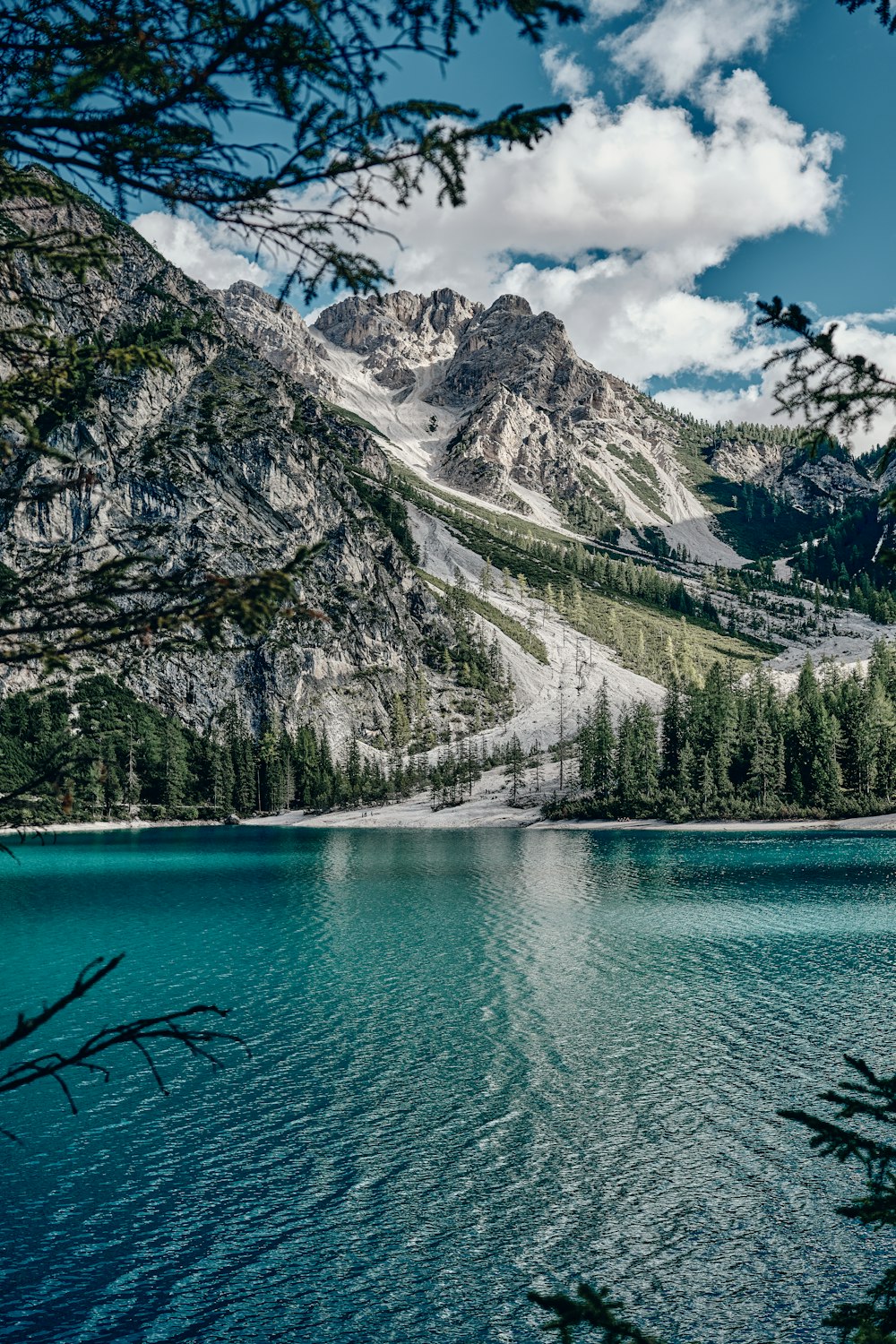 a lake with trees and mountains in the background