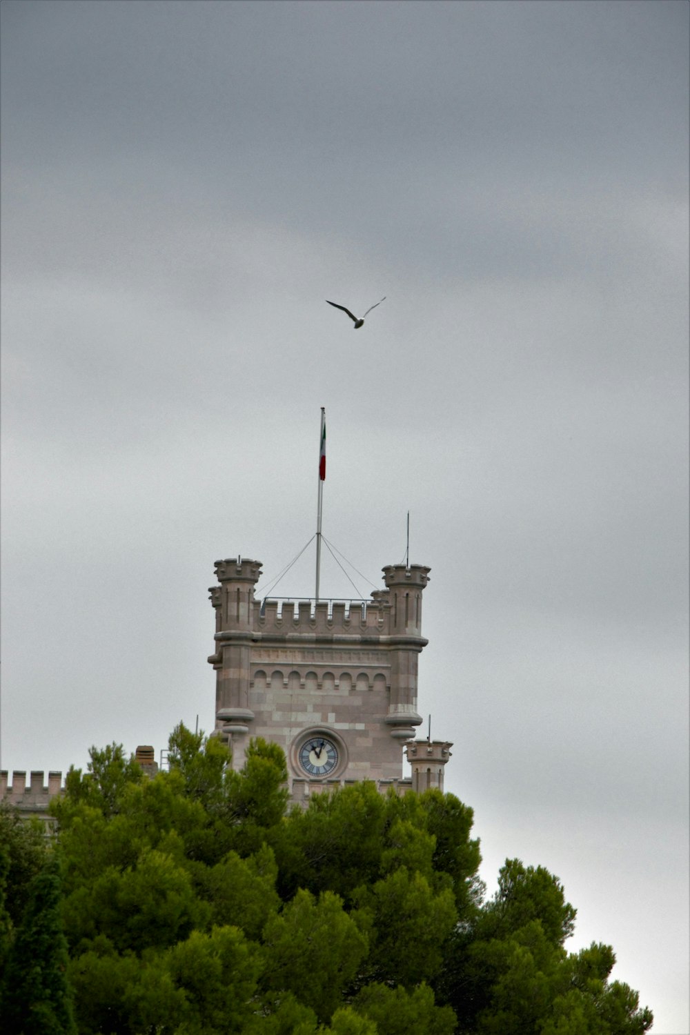 a bird flying over a clock tower
