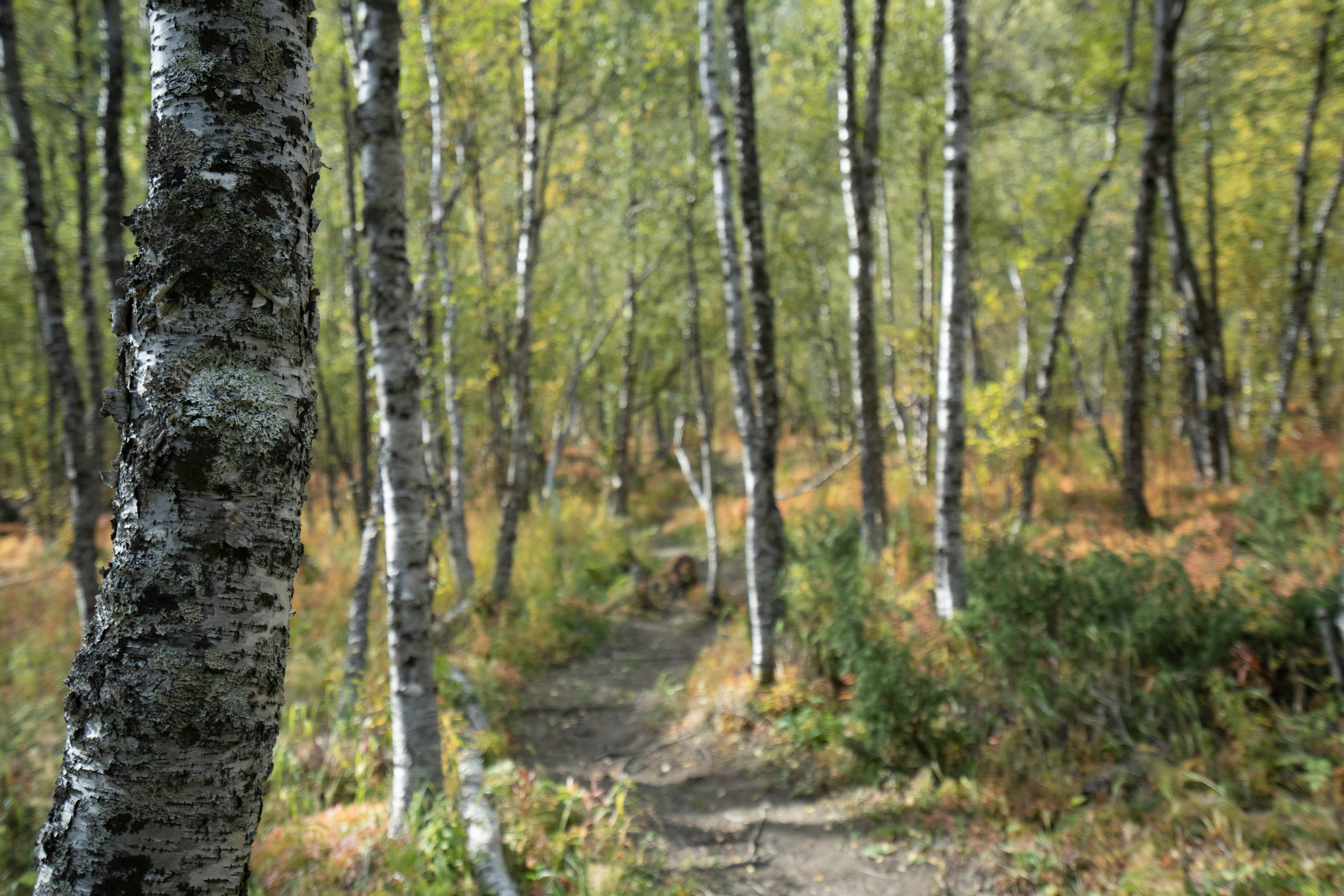 Photo by datingjungle