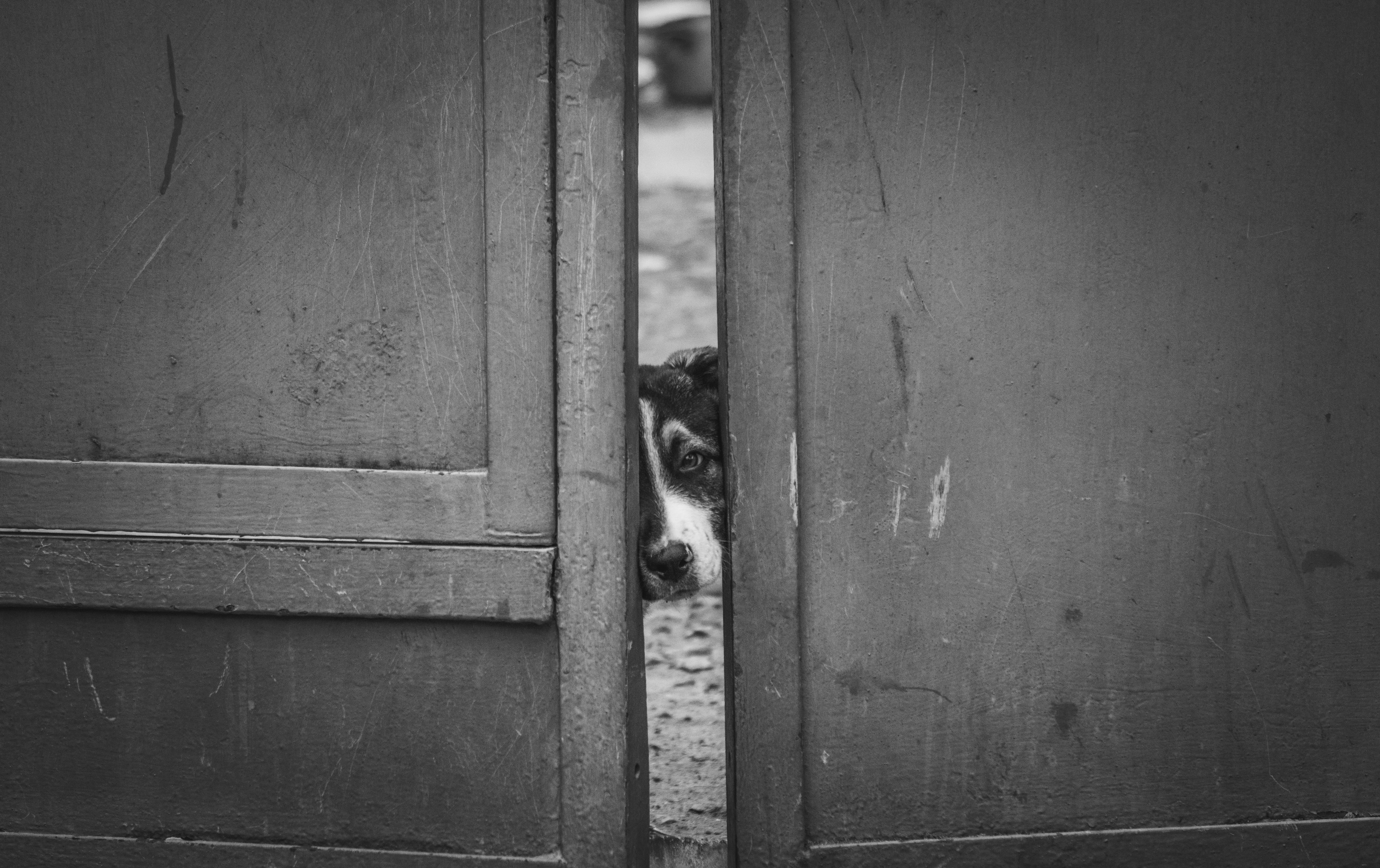 Photo by angrygrandmama