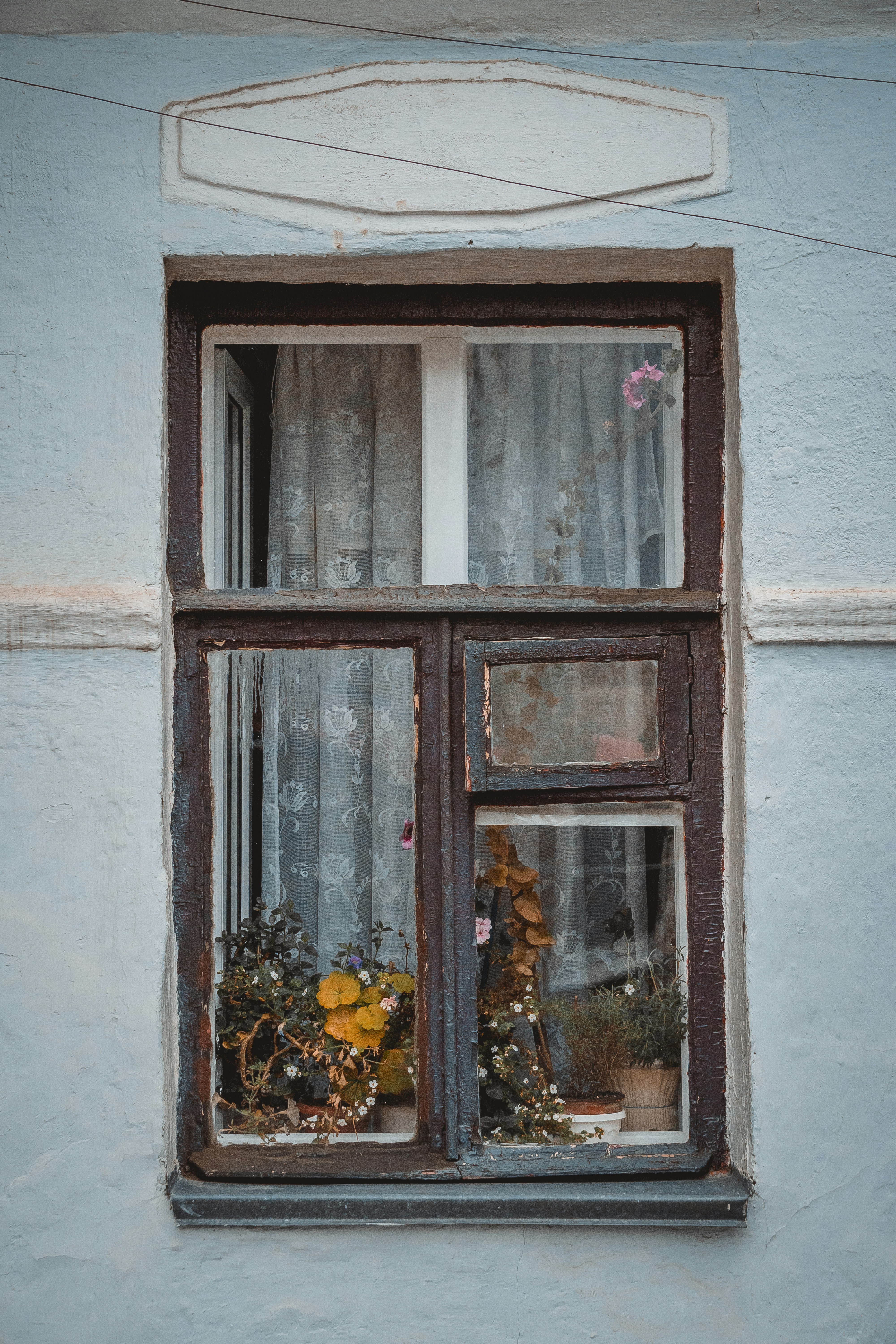 Photo by angrygrandmama