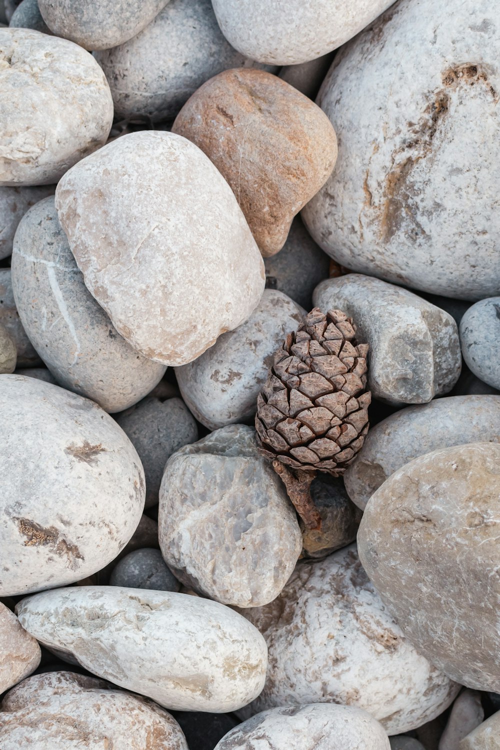 a group of rocks