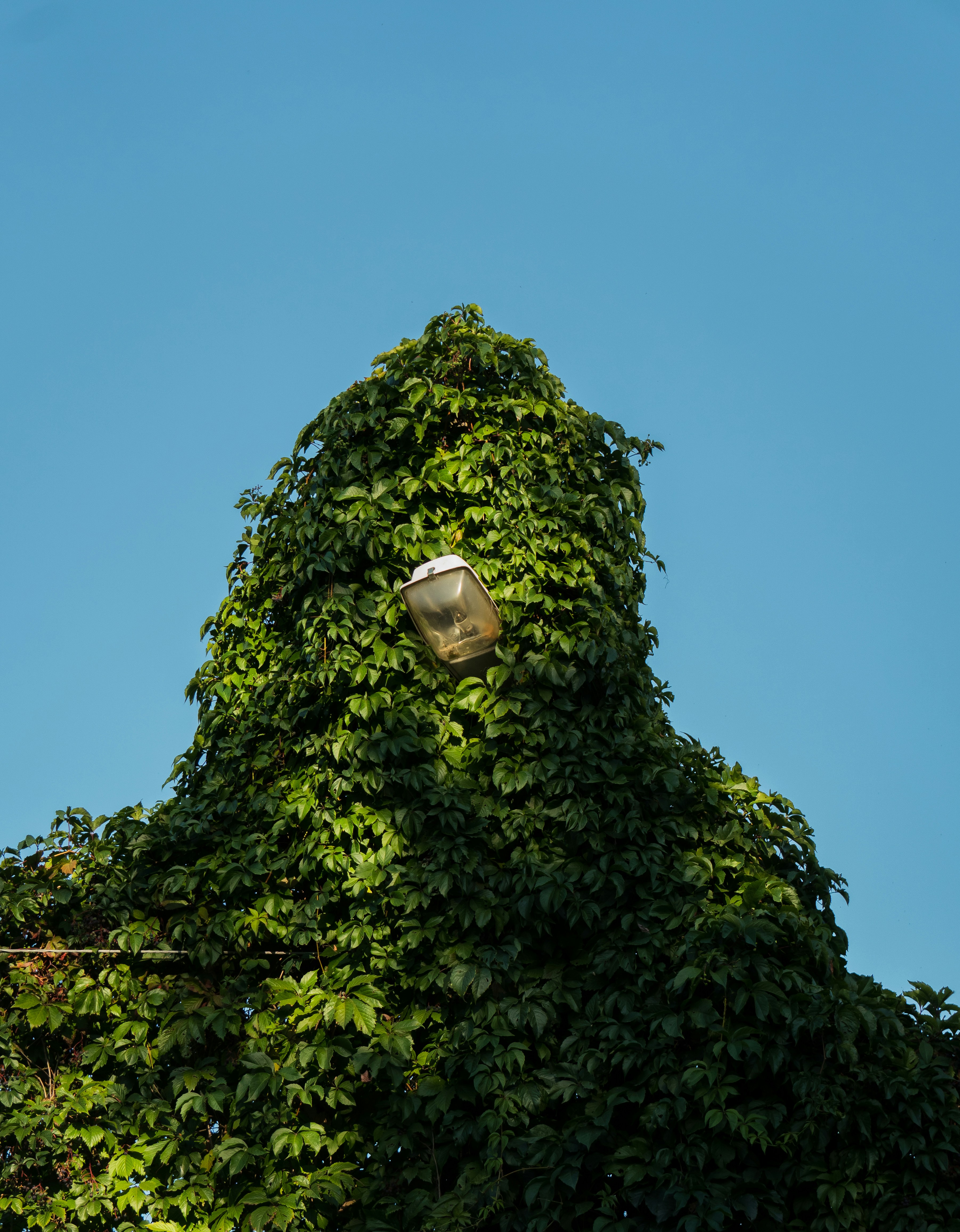 Photo by angrygrandmama