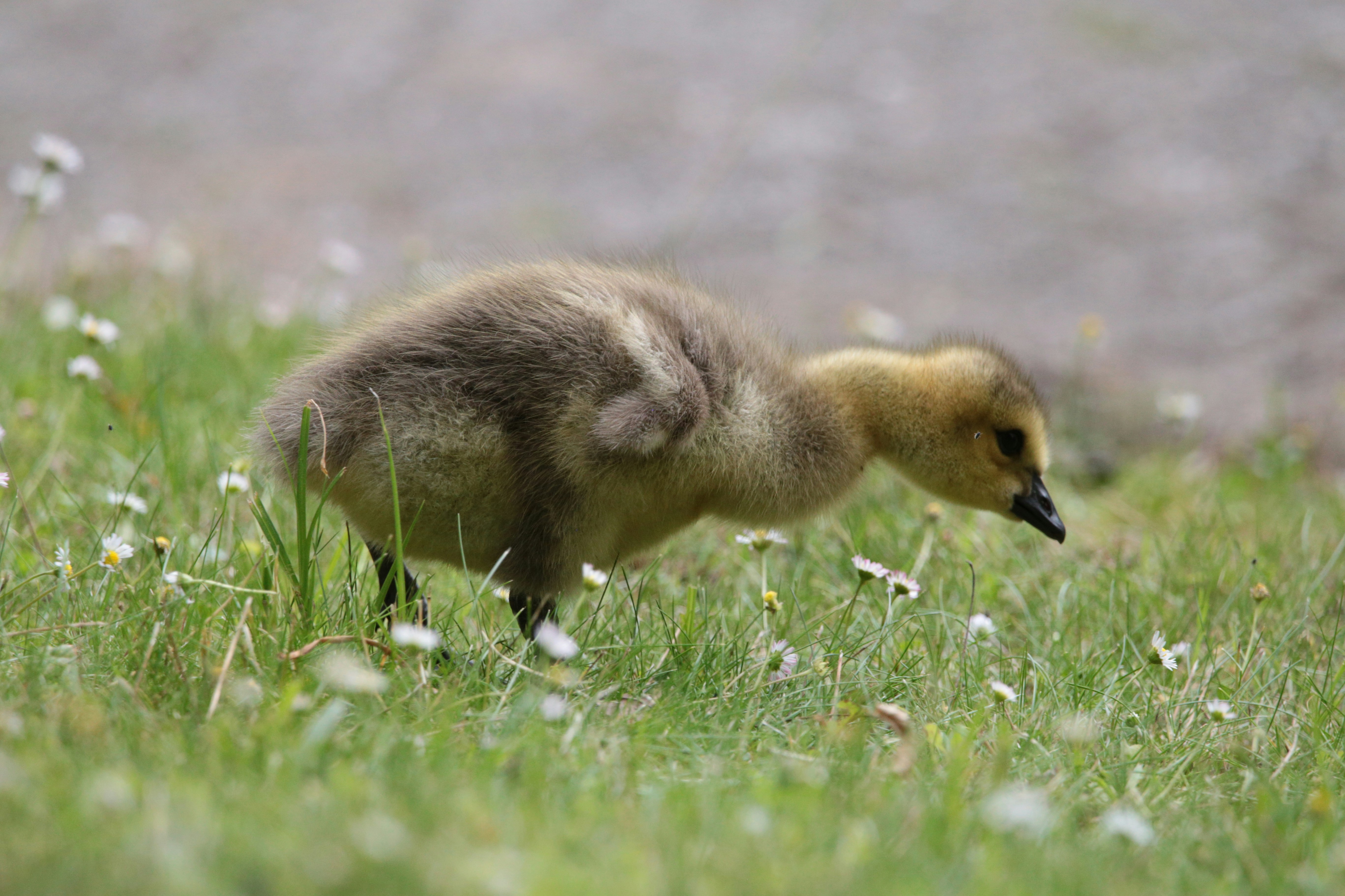 Photo by stockfootageforyou