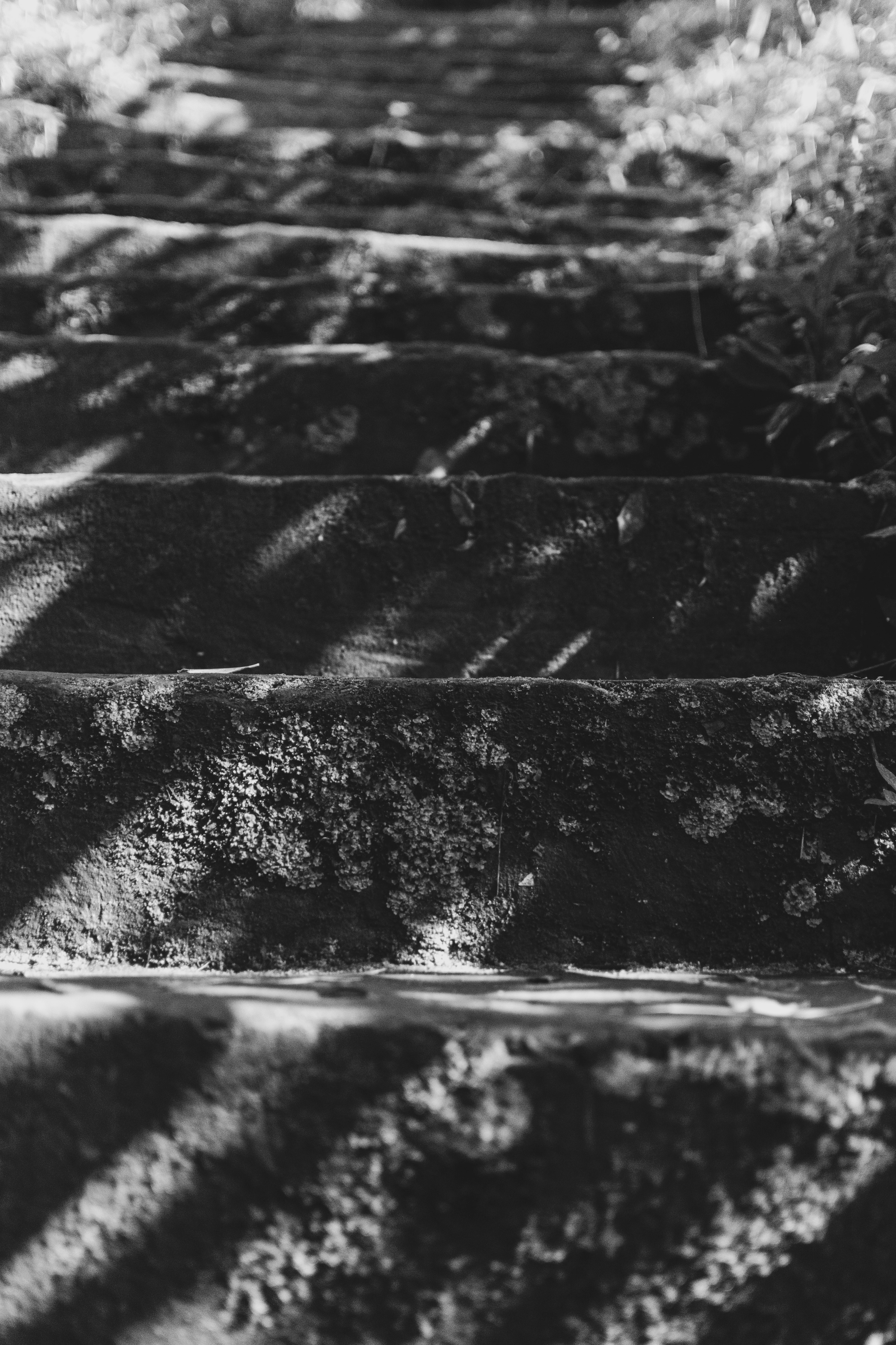 Photo by jctubelleza