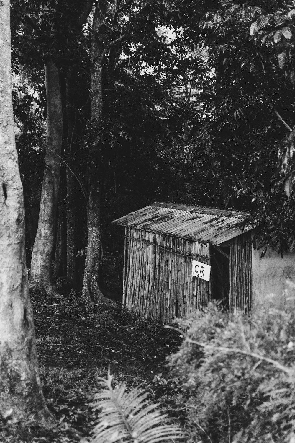 Eine kleine Hütte im Wald