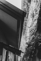 Rainwater pours off the edge of a roof, creating a cascade of droplets. The image is in black and white, and part of a building with a slanted roof and a wall covered in climbing plants can be seen.