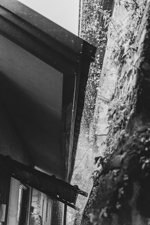 Rainwater pours off the edge of a roof, creating a cascade of droplets. The image is in black and white, and part of a building with a slanted roof and a wall covered in climbing plants can be seen.