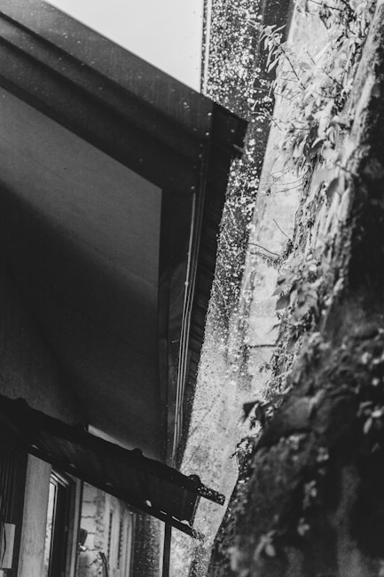 Rainwater pours off the edge of a roof, creating a cascade of droplets. The image is in black and white, and part of a building with a slanted roof and a wall covered in climbing plants can be seen.