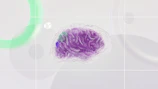 background pattern